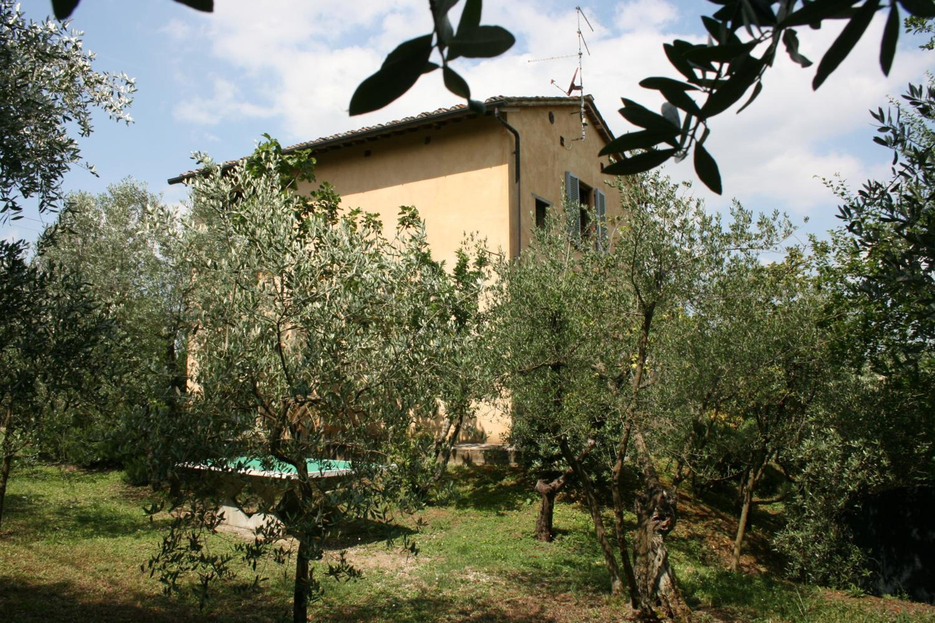 Photo 46