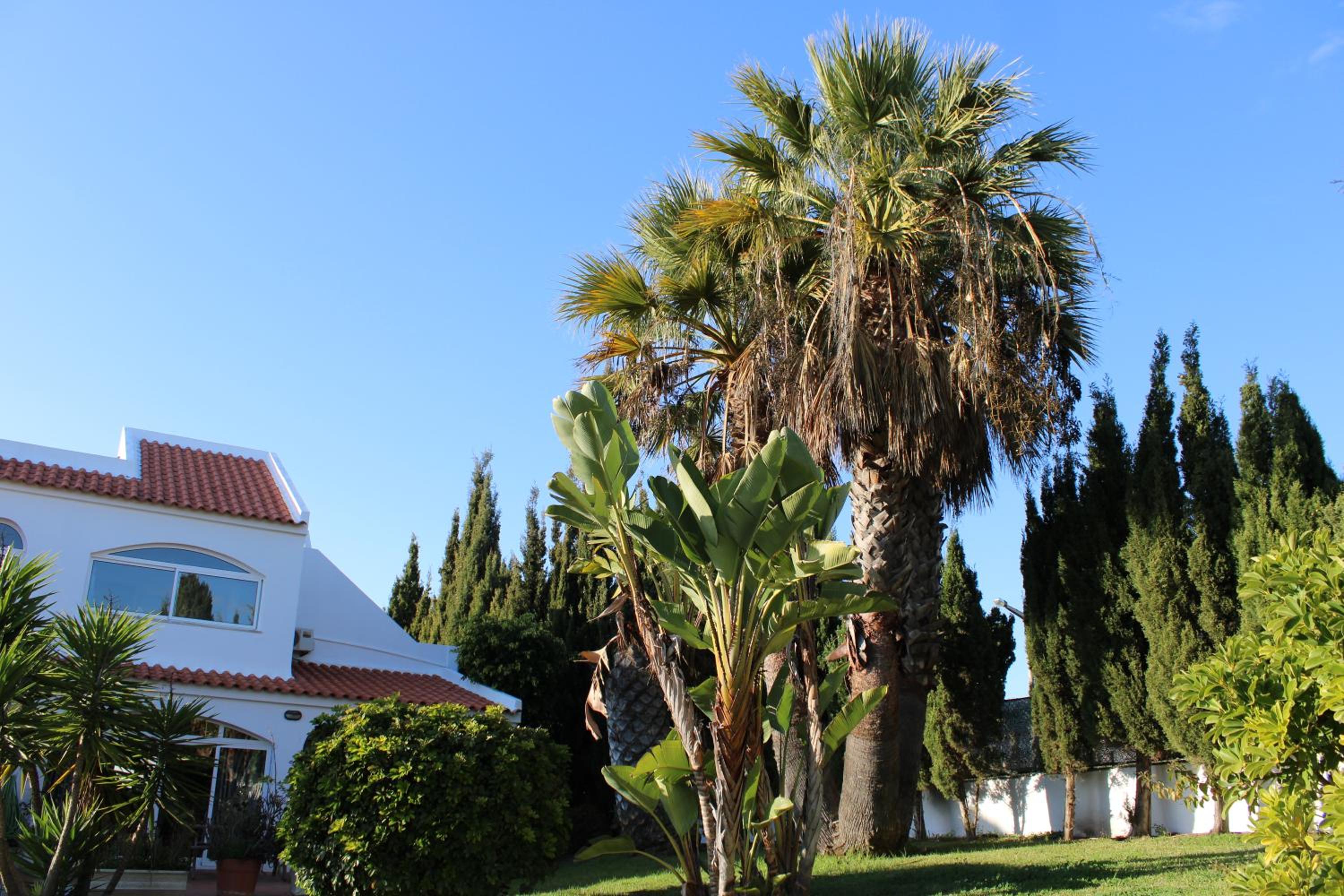 Casa Carioca Carvoeiro, photo 26