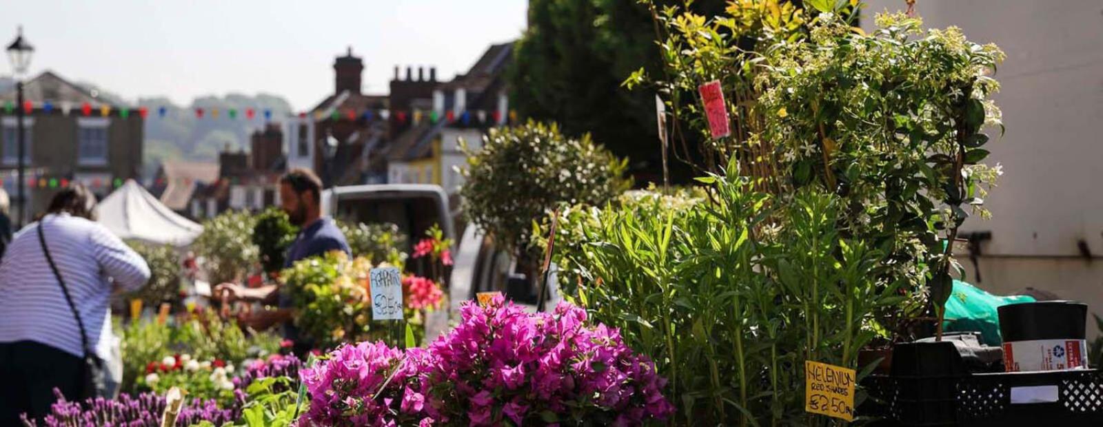 Nutshell Cottage