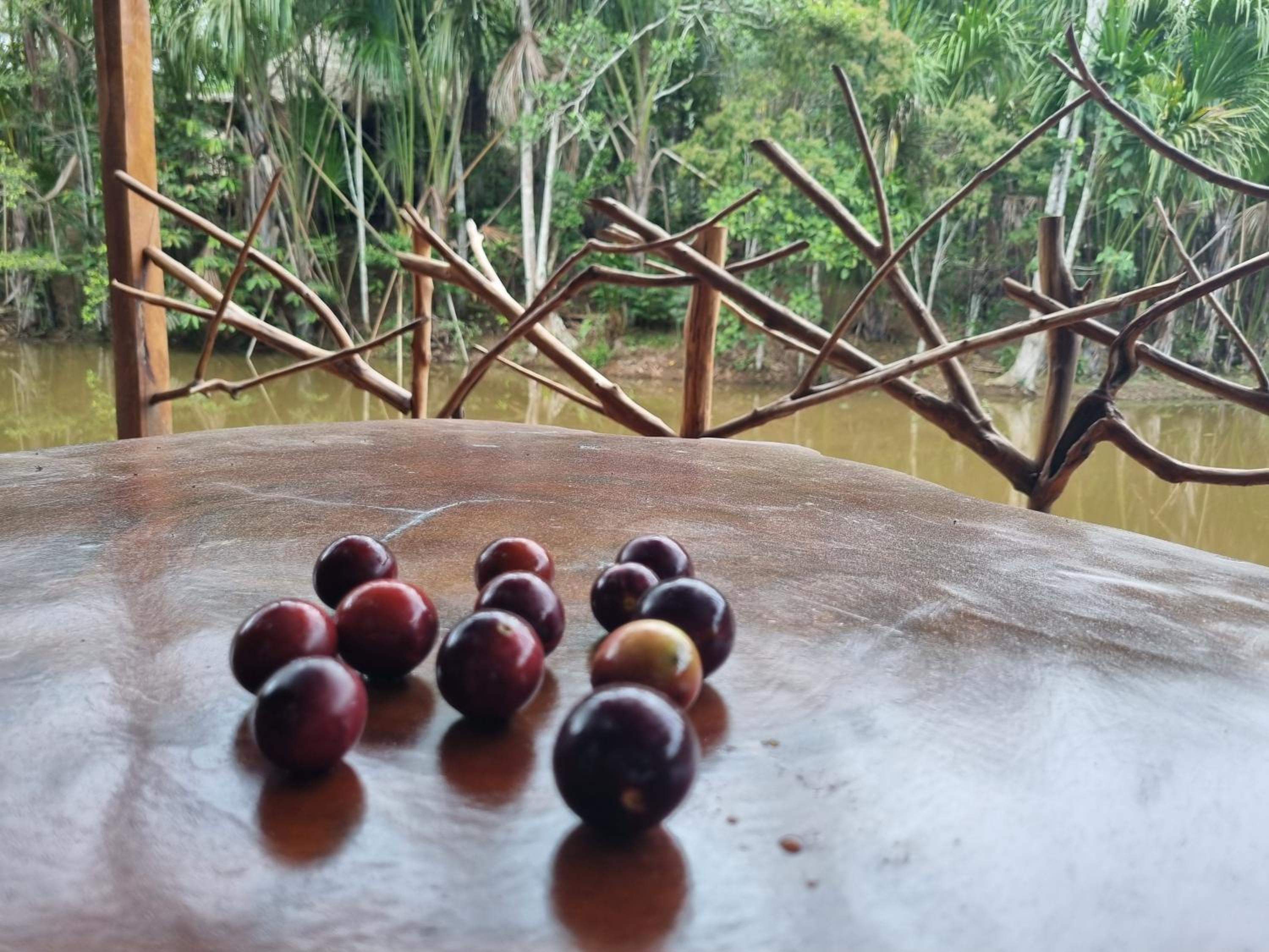 Camu camu jungle villa on Aguajale lake