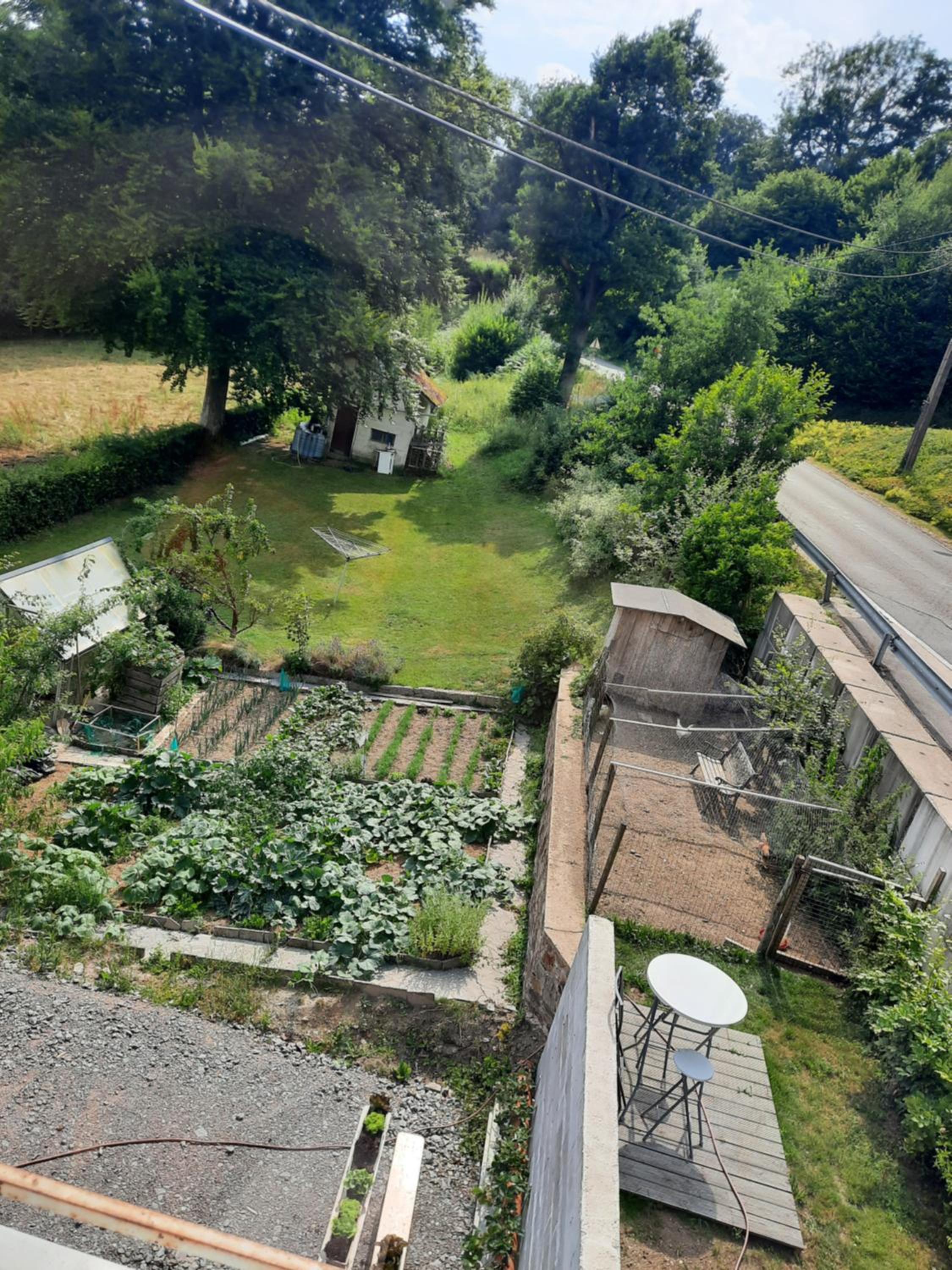 Photo 15
