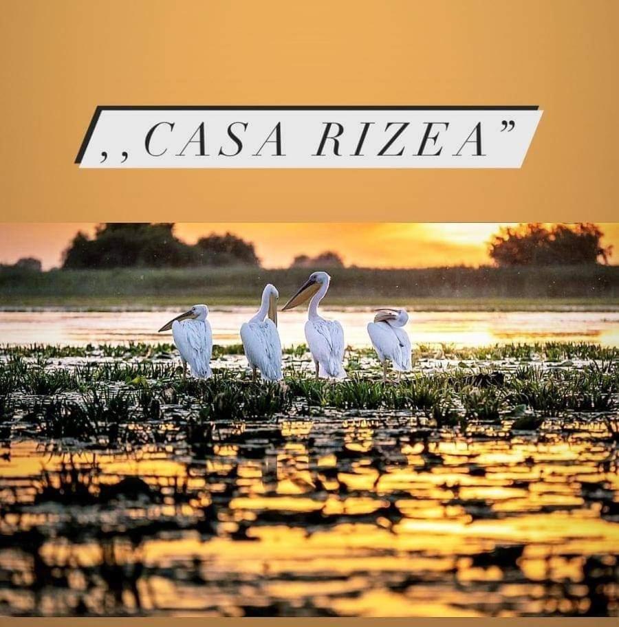 CASA RIZEA view 3