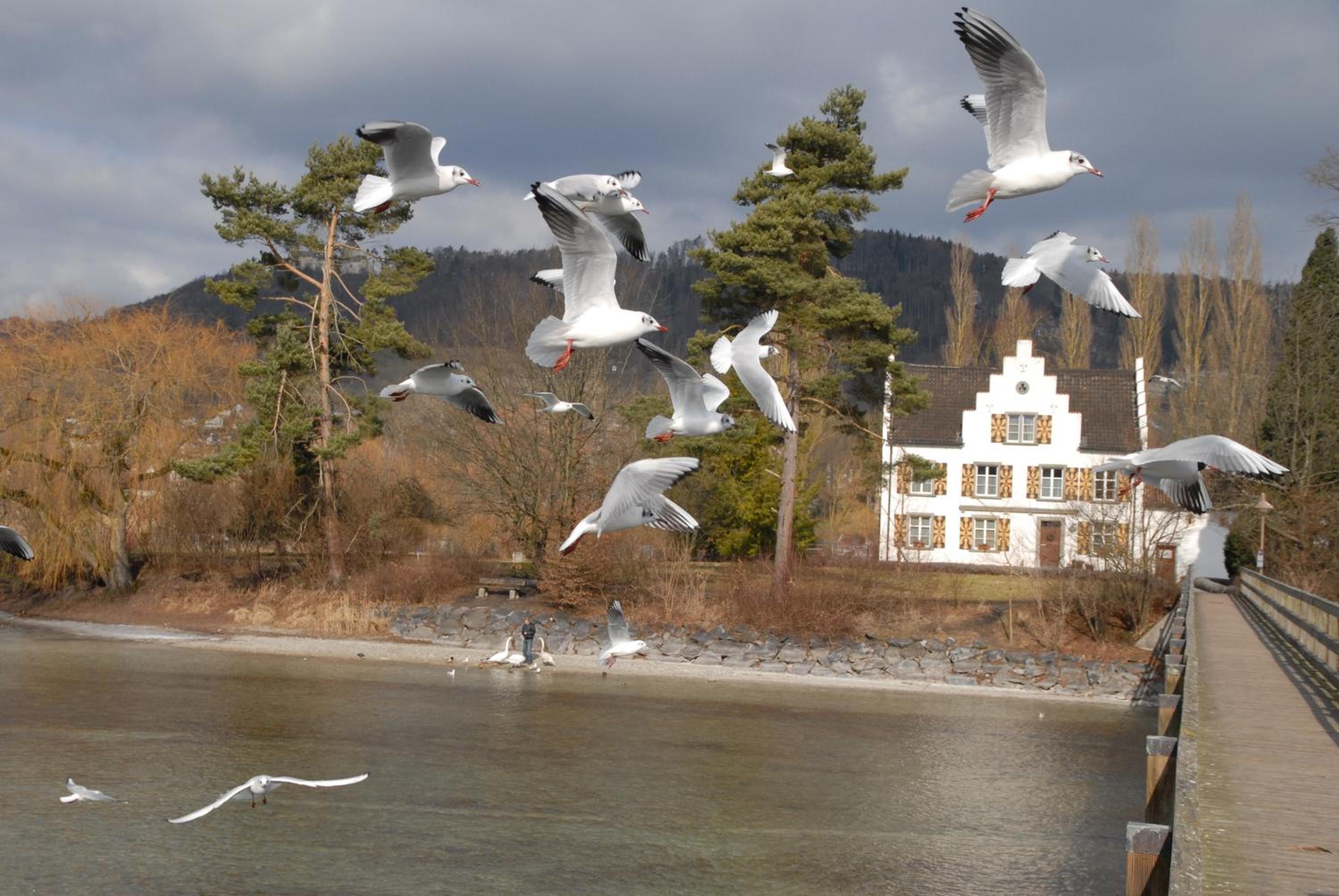 Hoeri Ferienhaus -Lake Constance