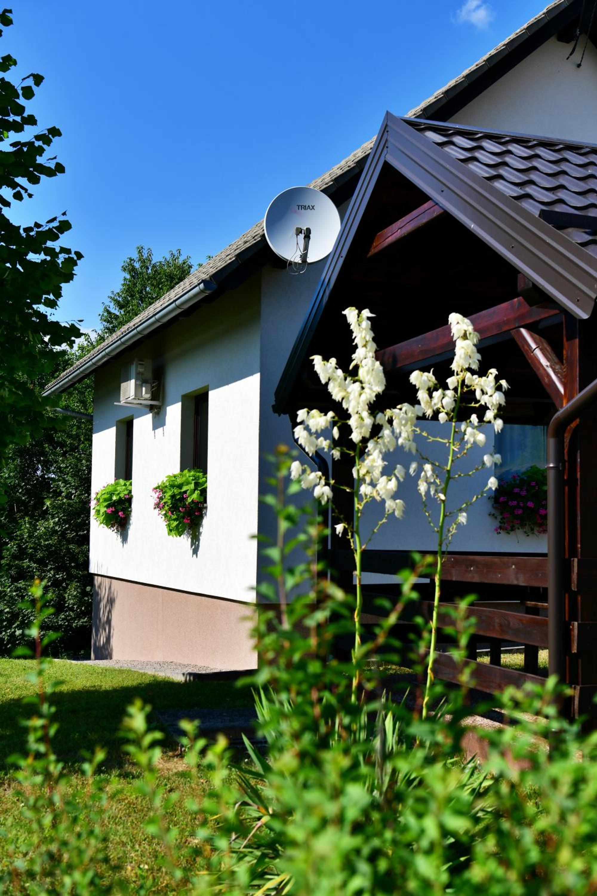 Photo 24