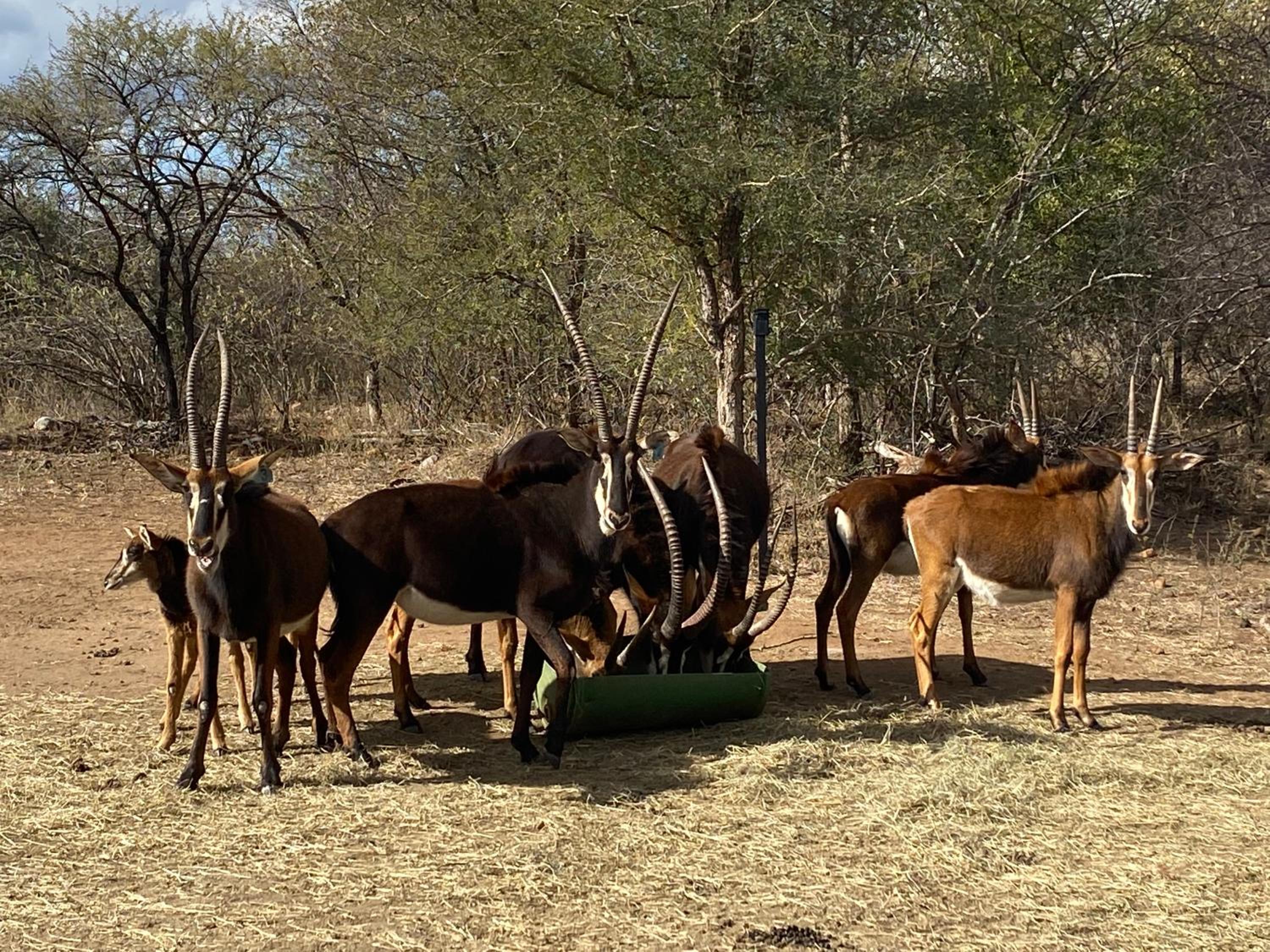 My Africa Adventure Farm view 4