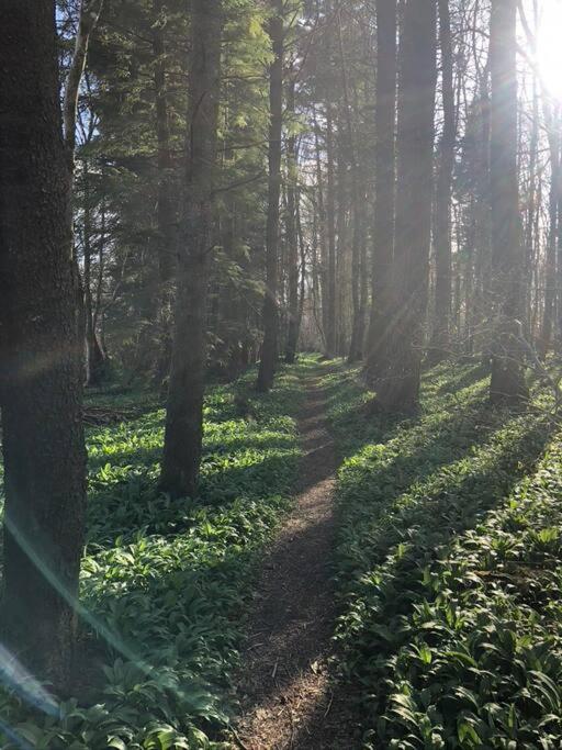 Photo 8