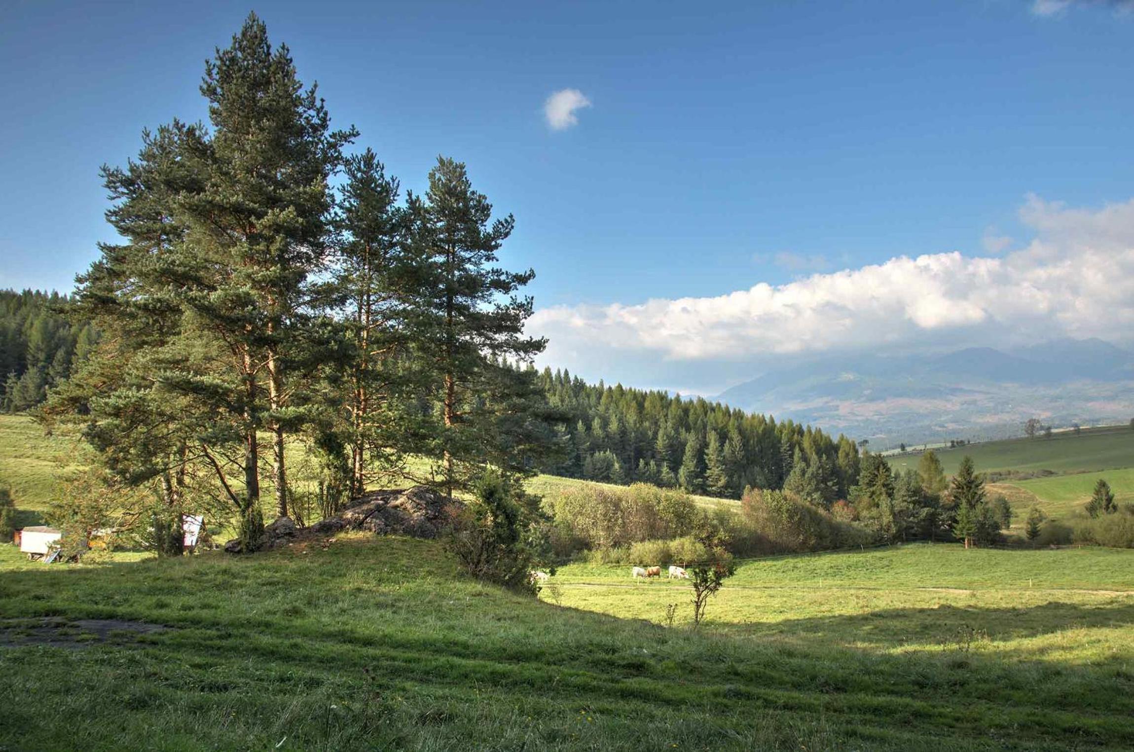 Apartmany pod Tatrami