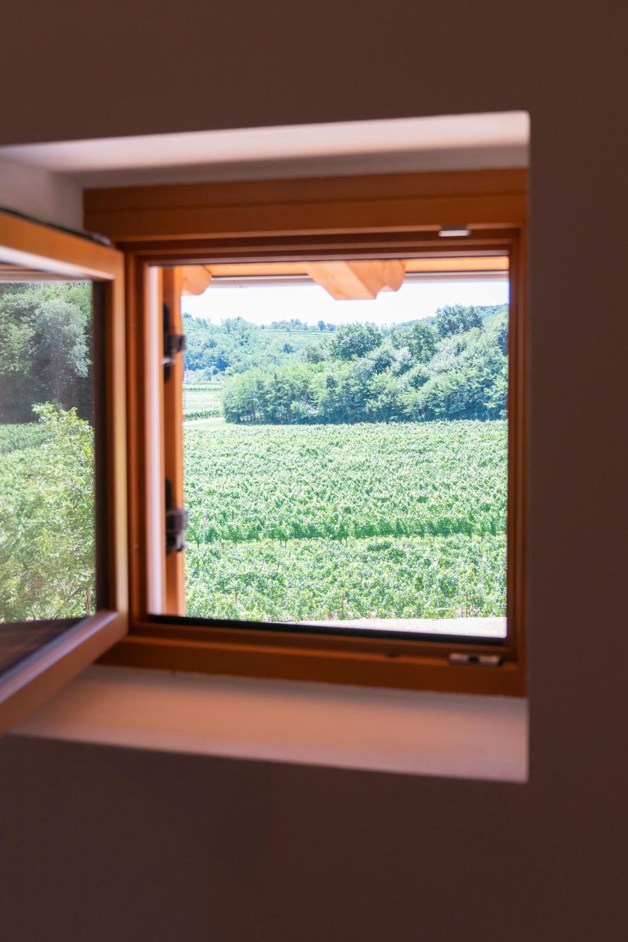 Tenuta Della Casa Wine & Rooms - La Pausa del Collio, photo 24