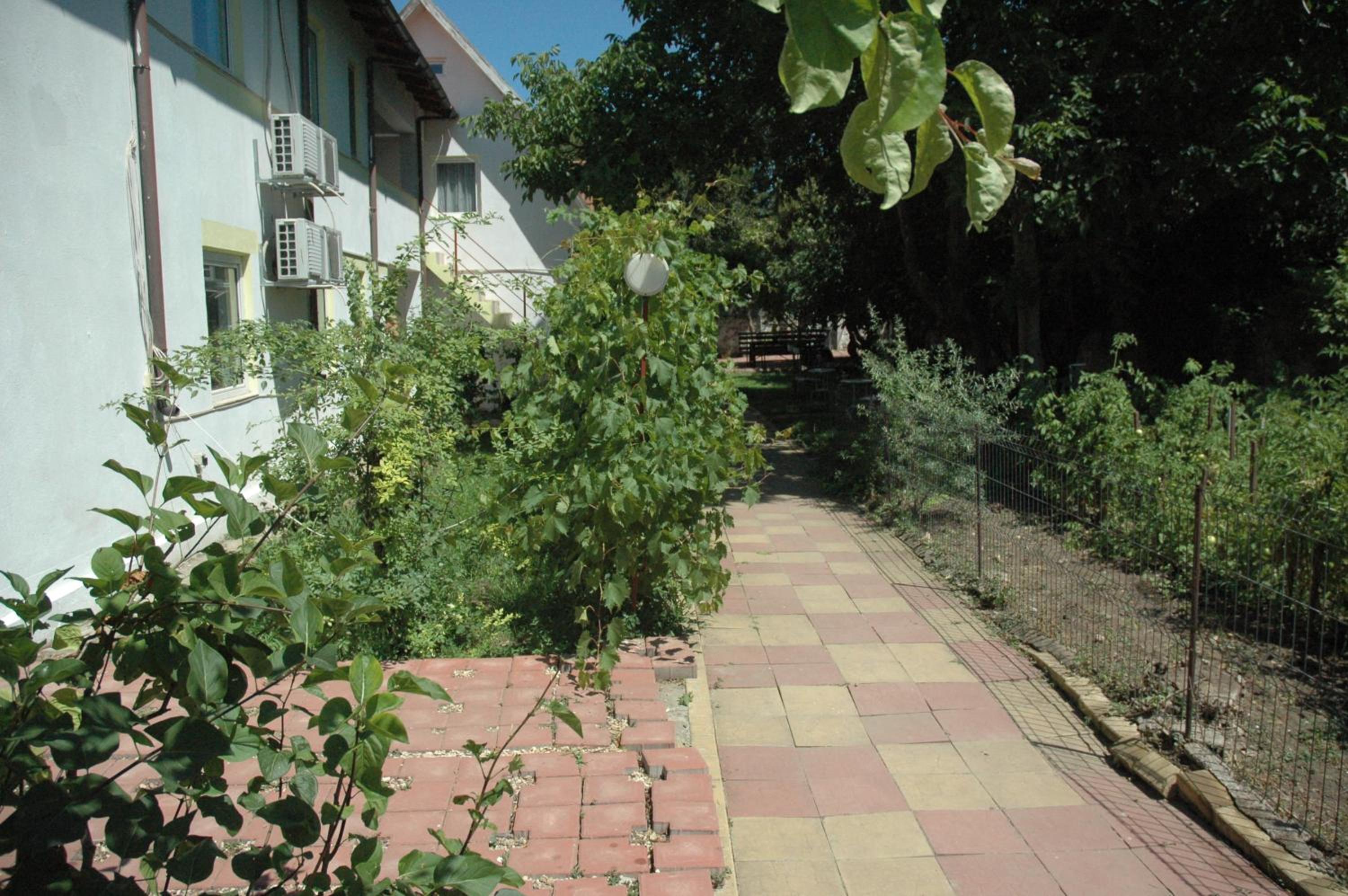 Photo 40