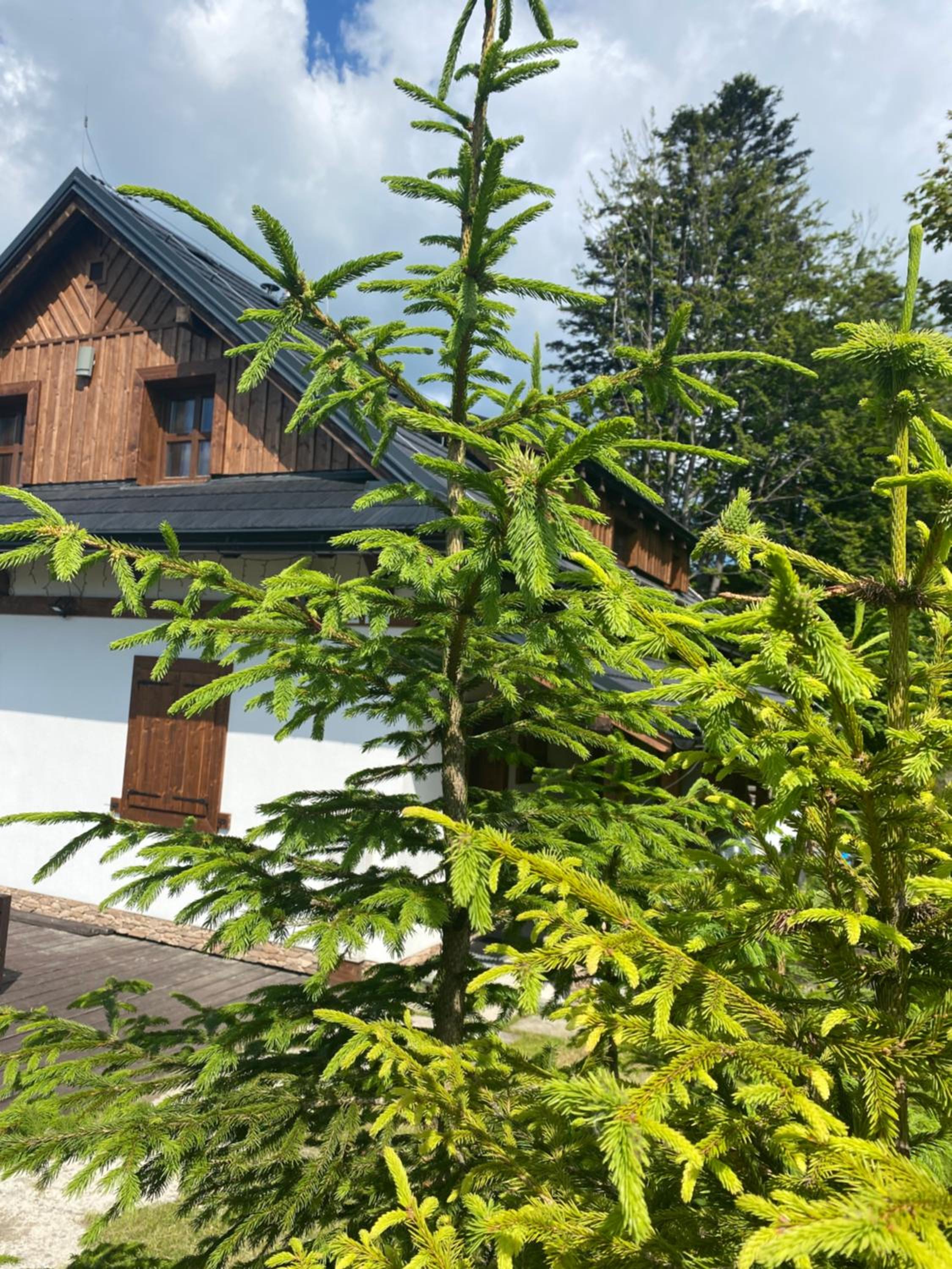 Chata Marguška - U Fera view 4