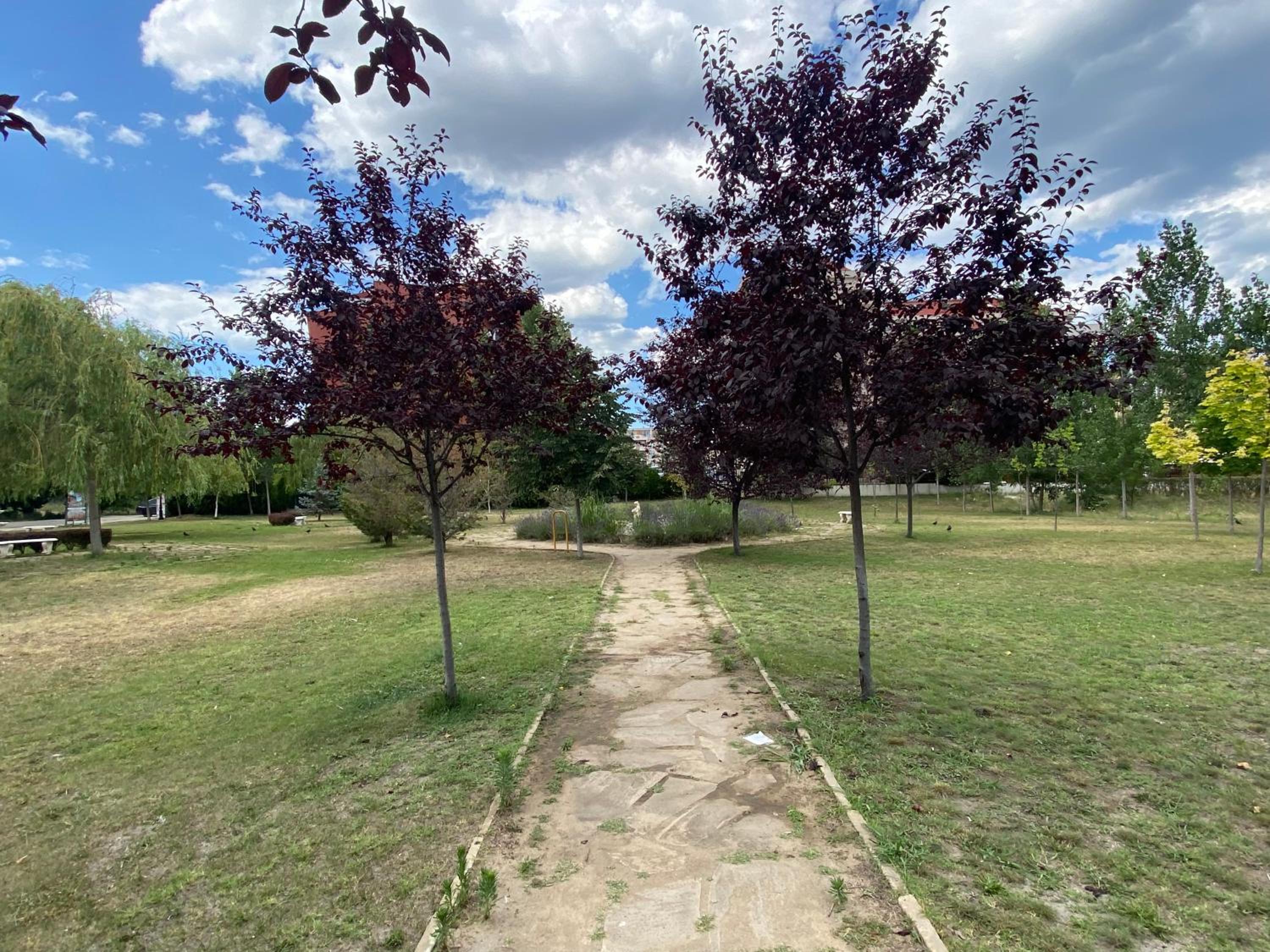 Photo 47