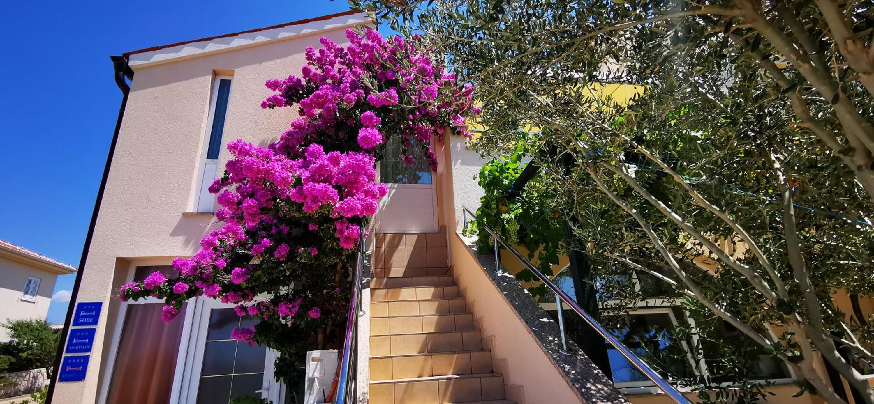 Hotel Apartments Marin, Kolan, Mandre, Pag