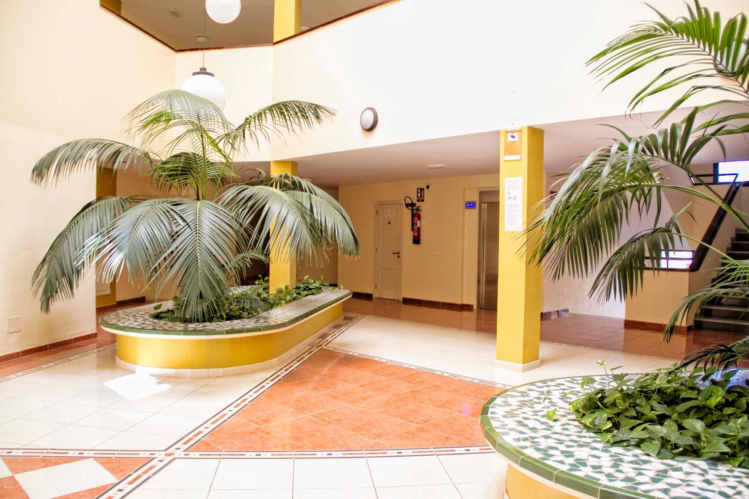 Sunset Apartment, Puerto Santiago