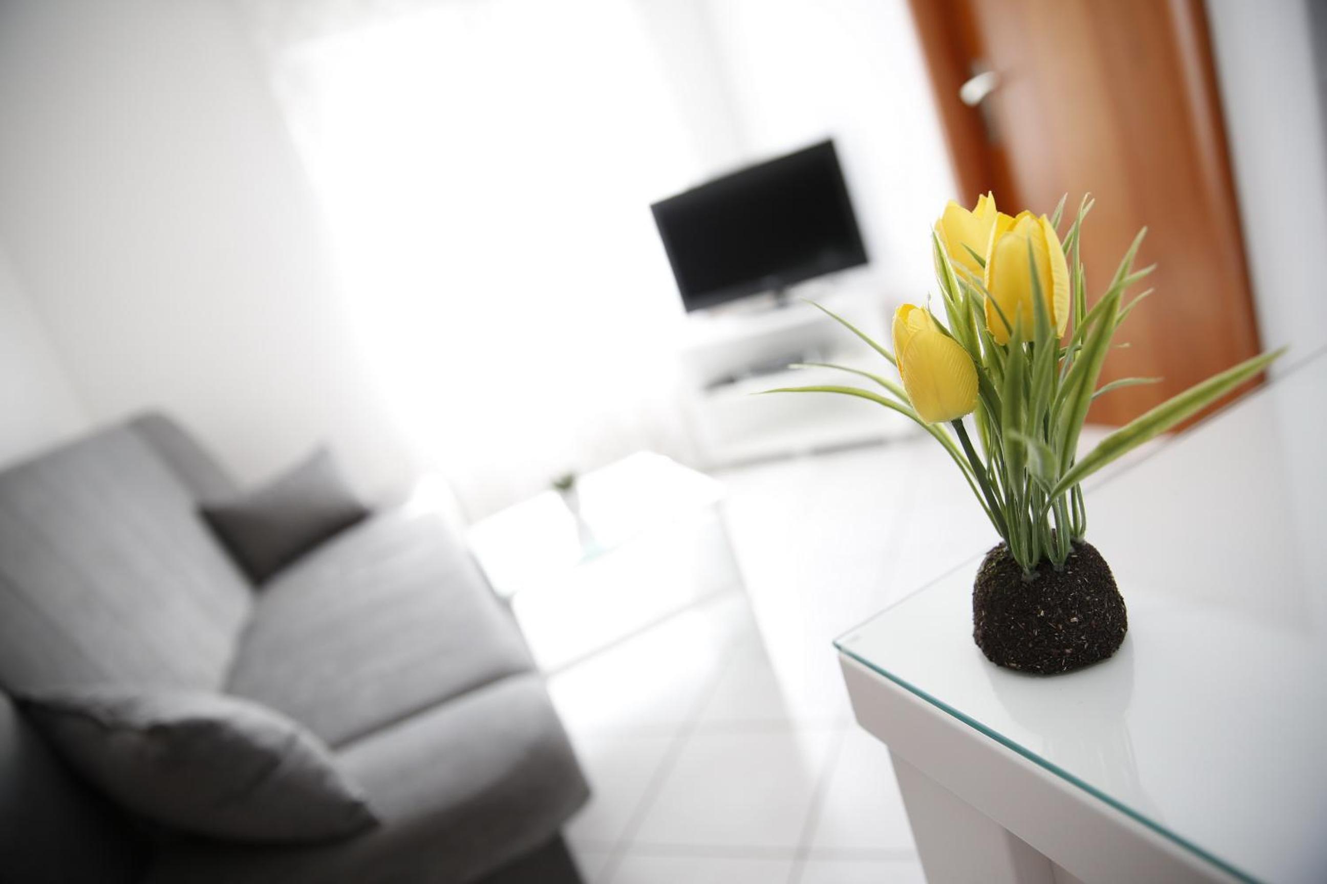 Apartments Lepur