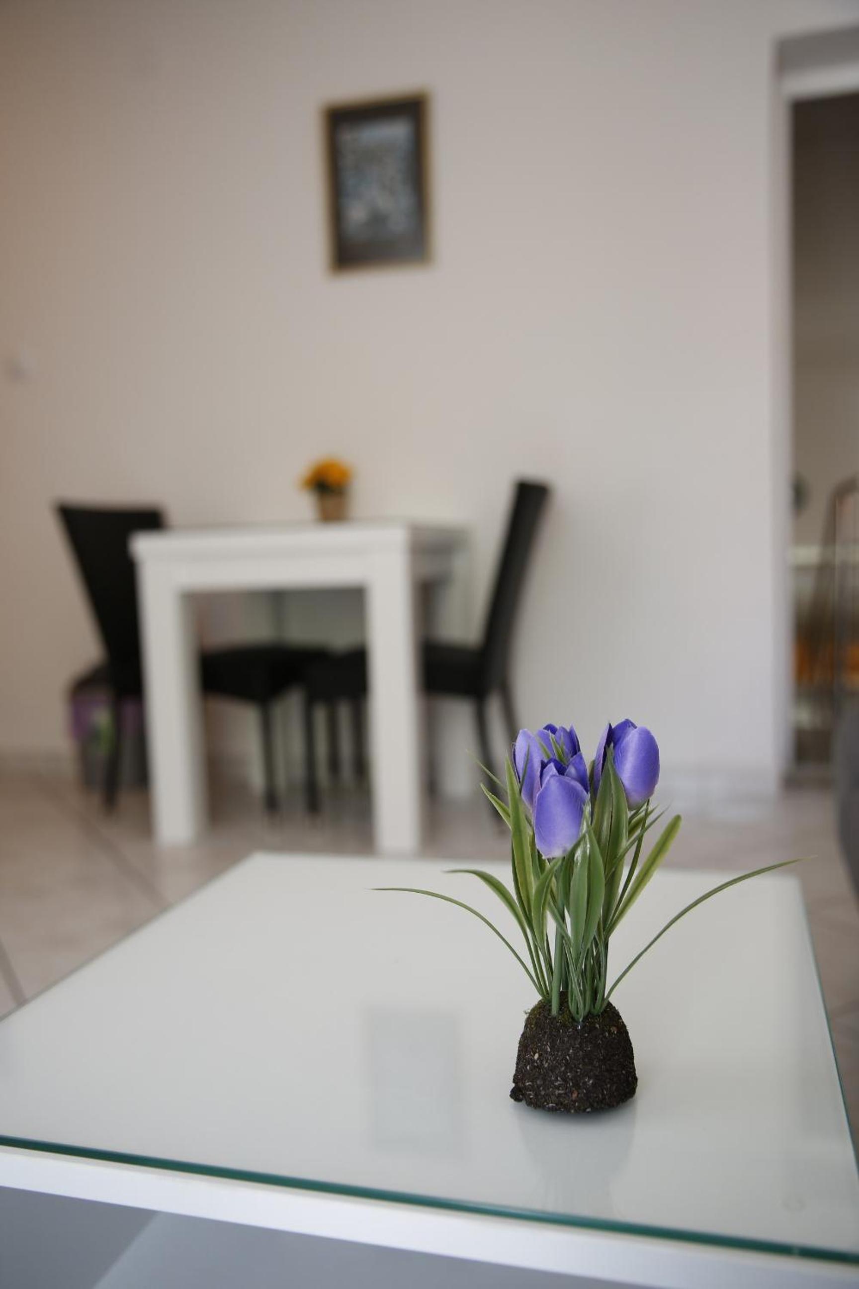 Apartments Lepur