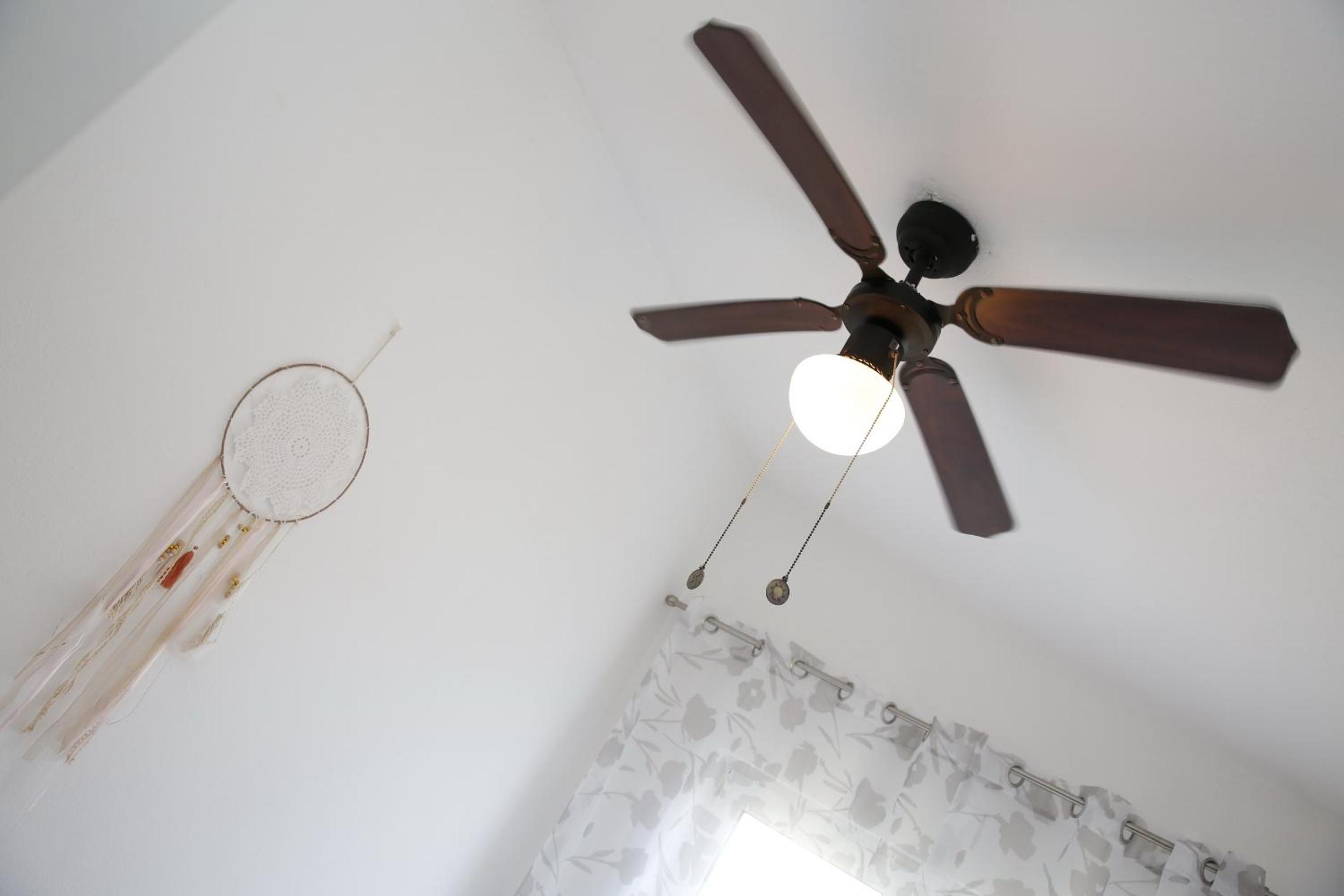 Apartments Lepur