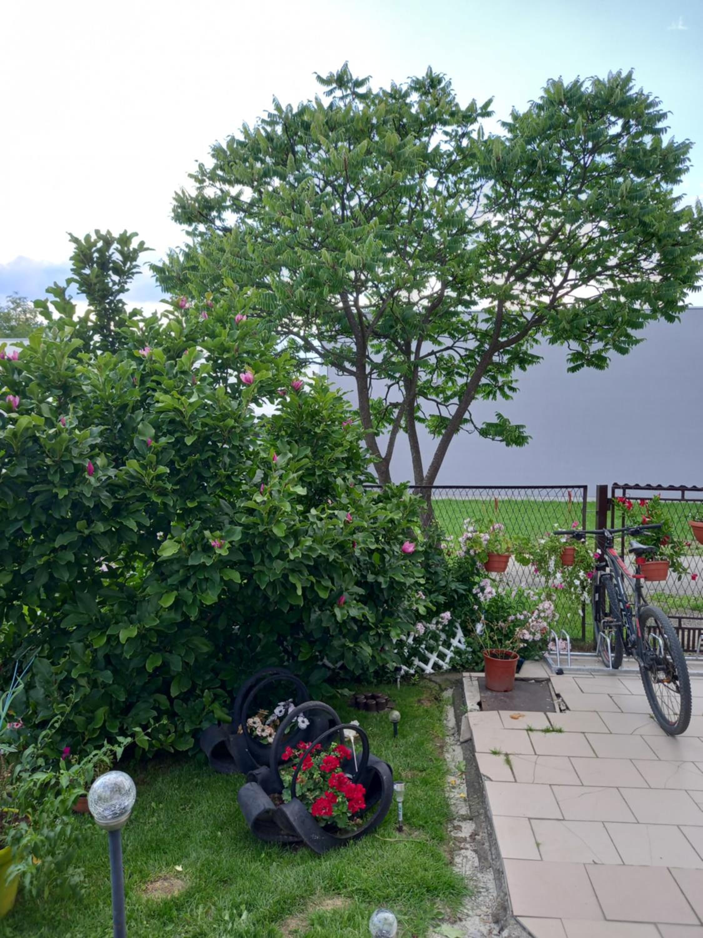 Pokoje Gościnne u Grażynki, photo 2
