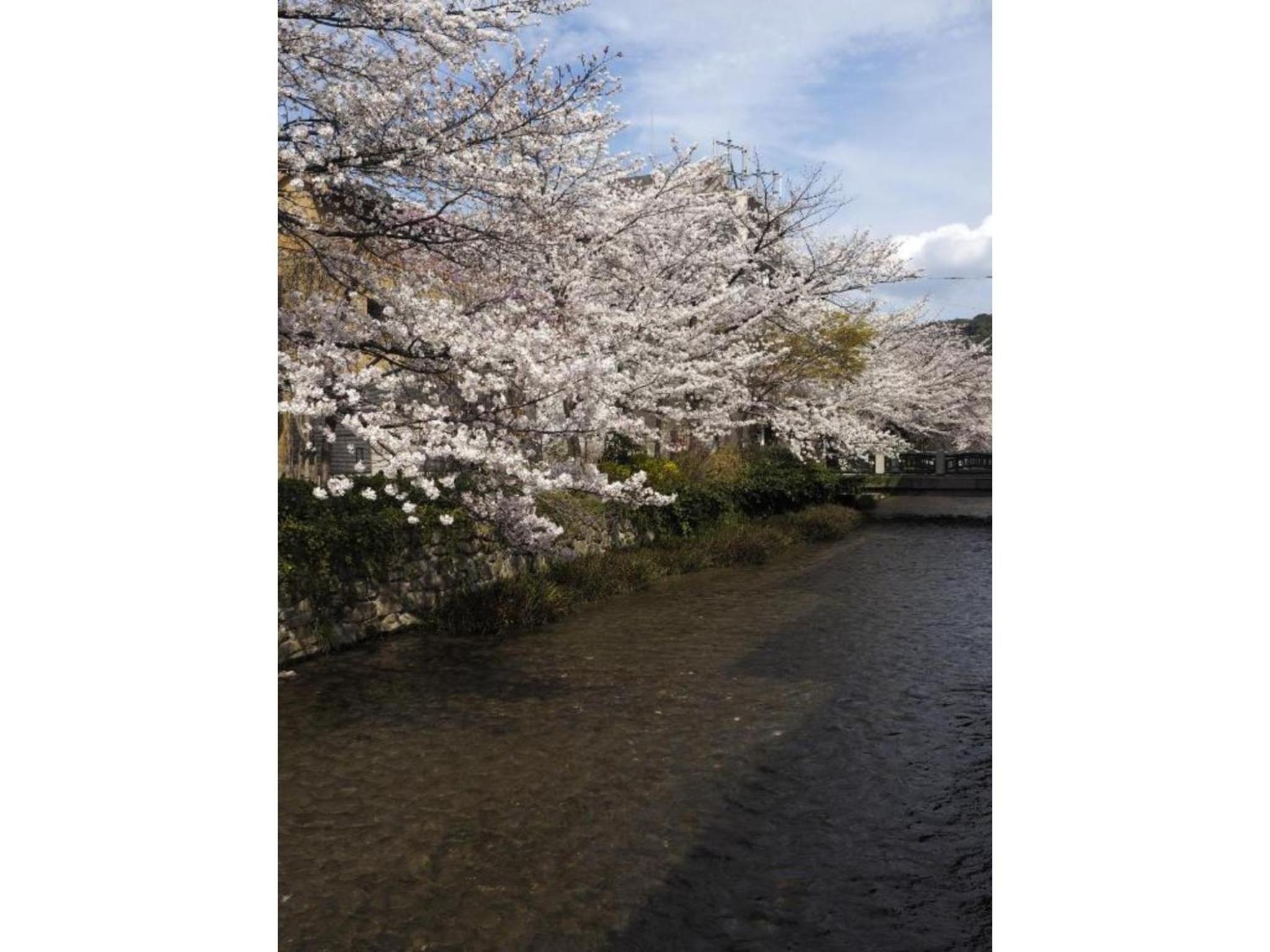 Photo 28