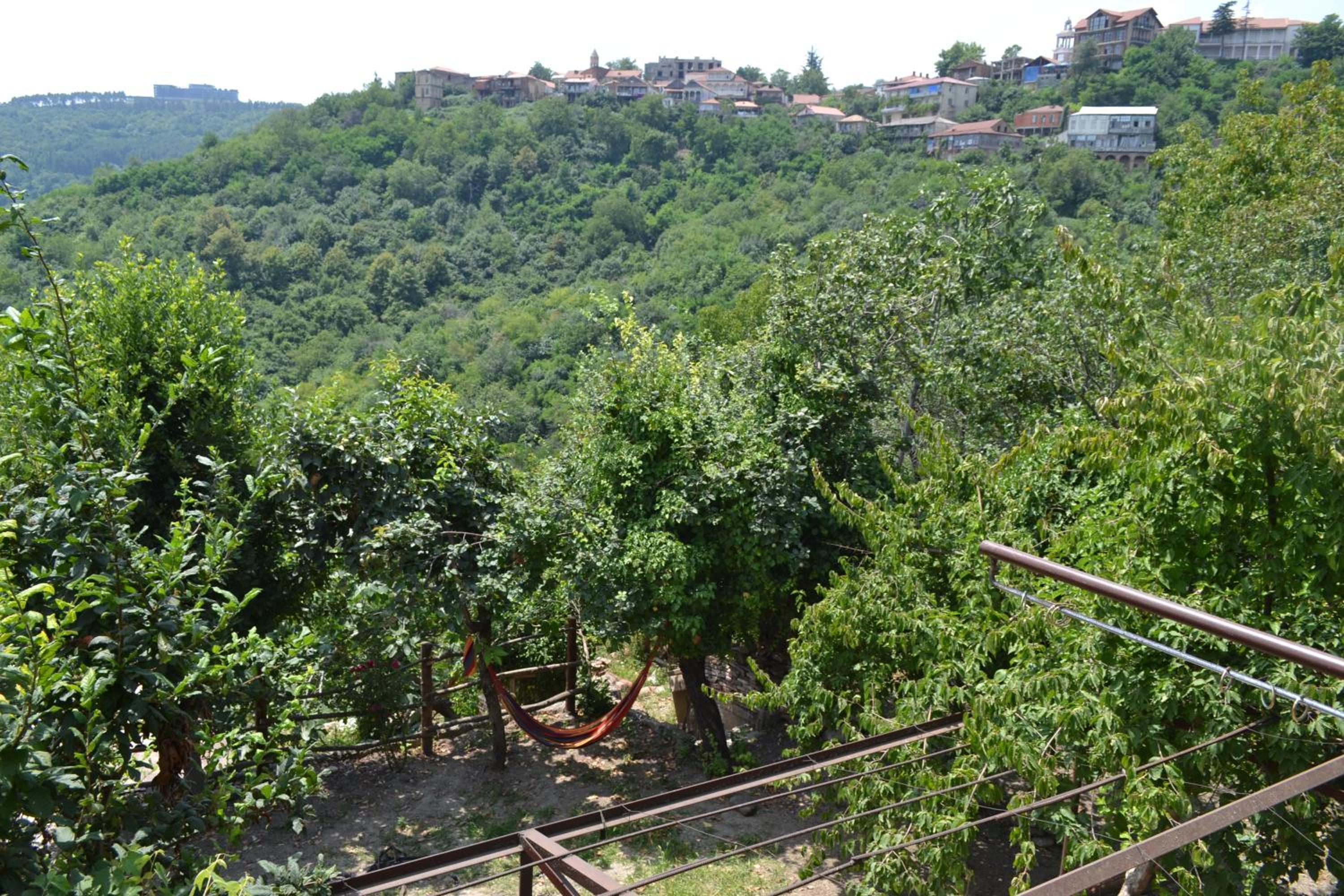 Tuta House Sighnaghi view 5
