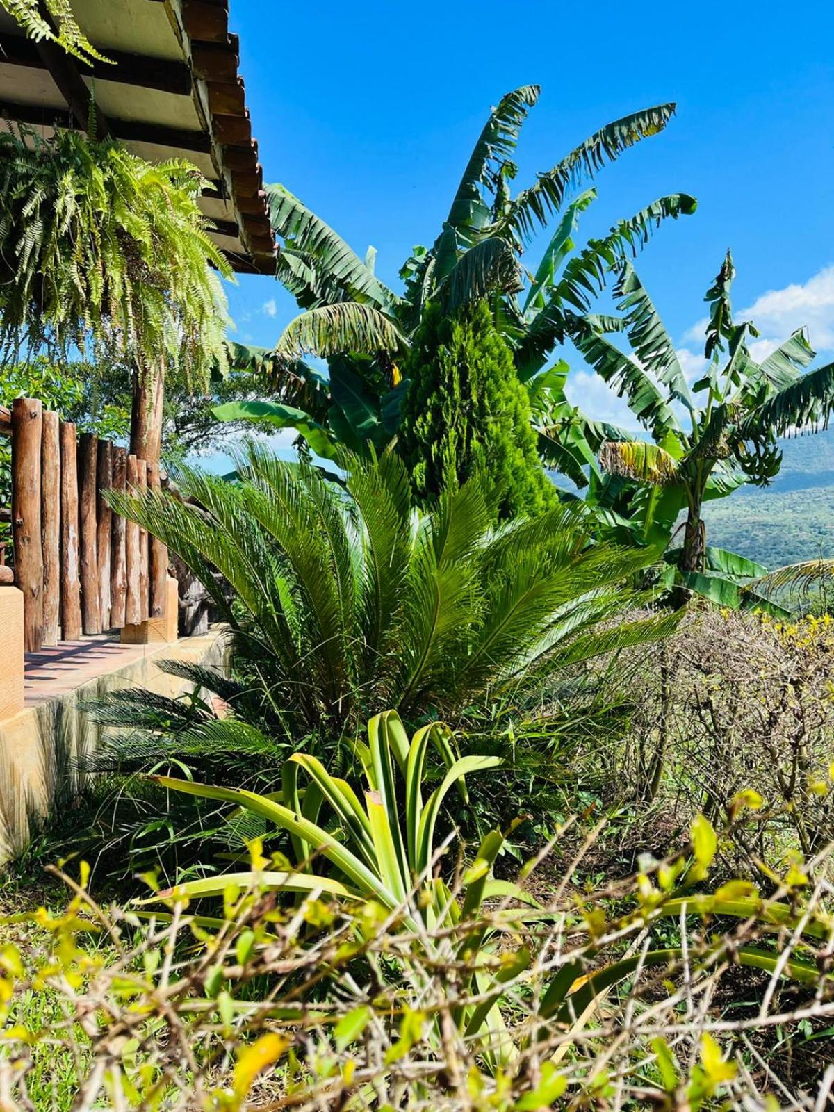 Hostal Sueño Real Campestre