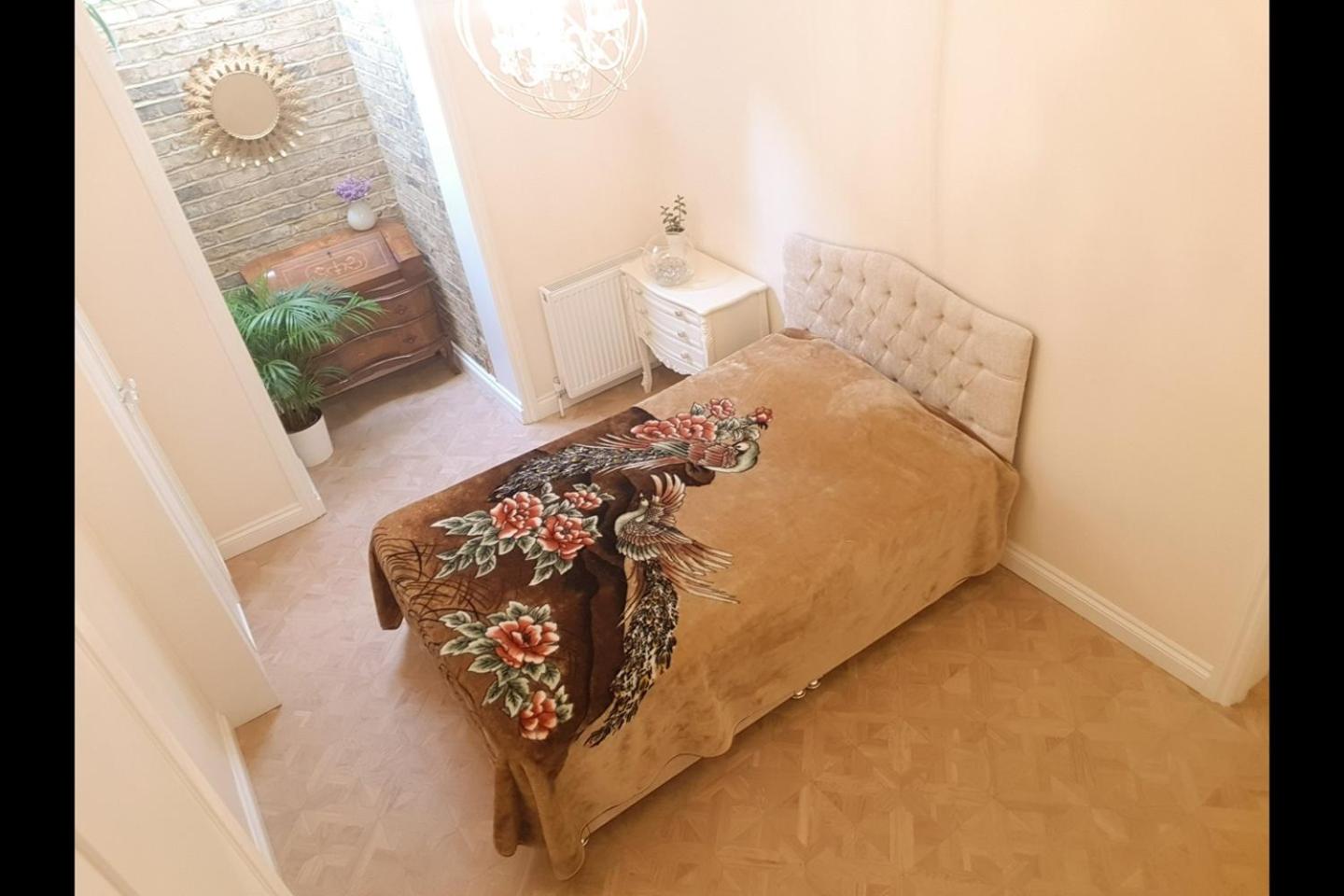 Spacious flat with a garden near tube, train, Thames and the city center