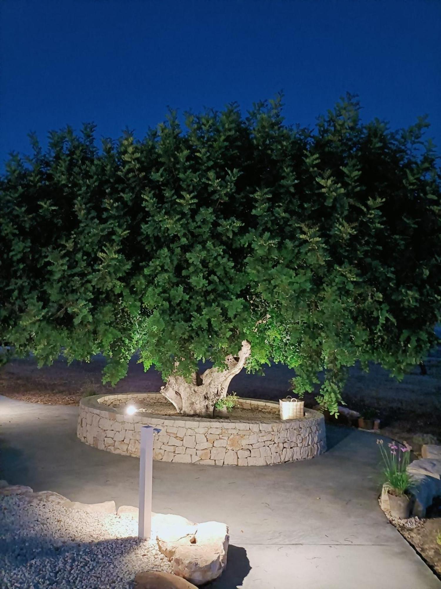 VILLA CAROB en Scicli