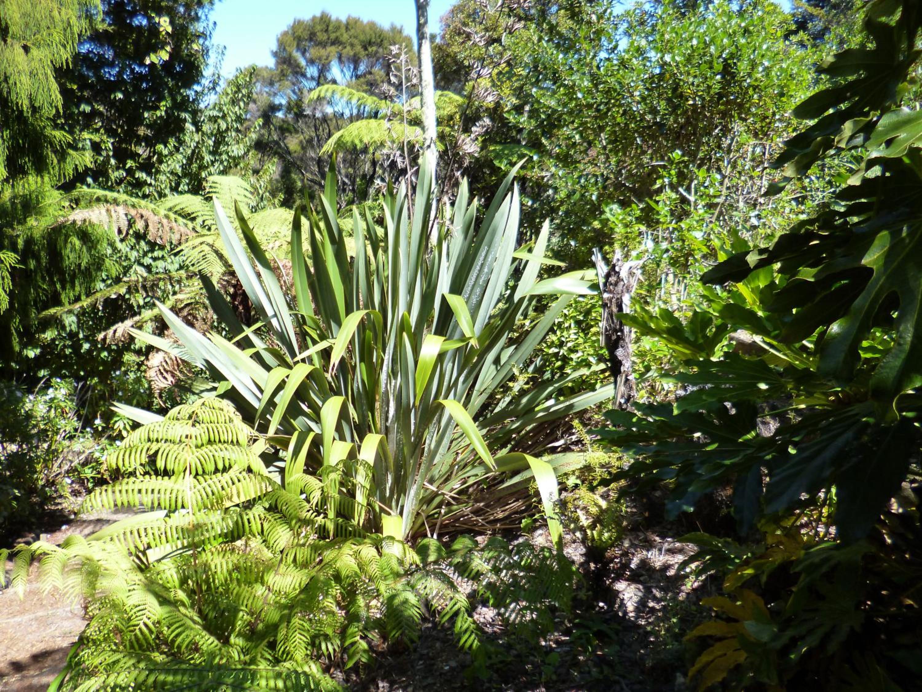 Opua Boutique Seaview Motel