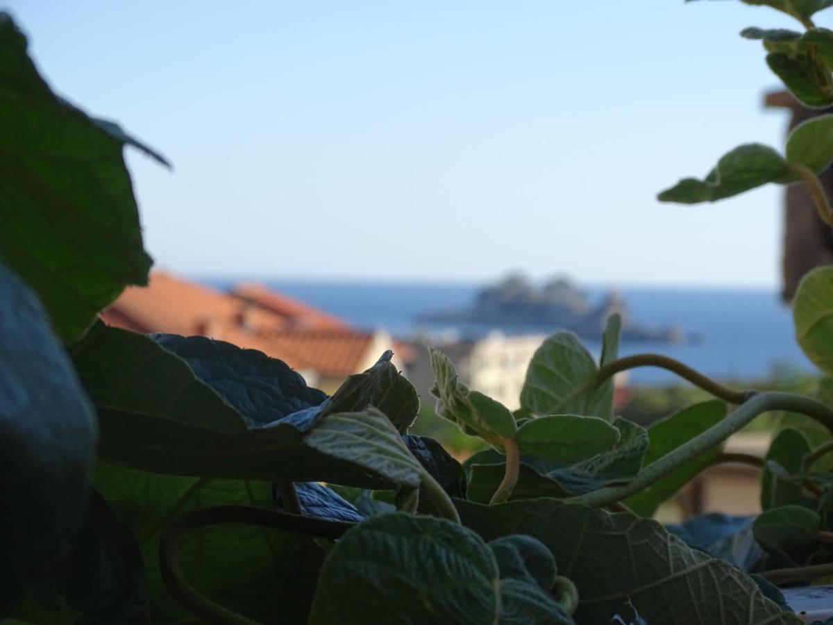 Apartment Hypnos Petrovac photo 3