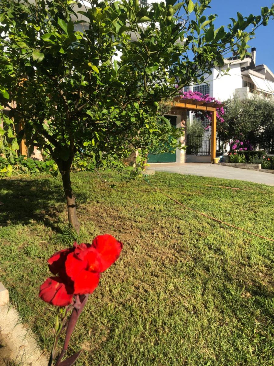 A casa di Alice
