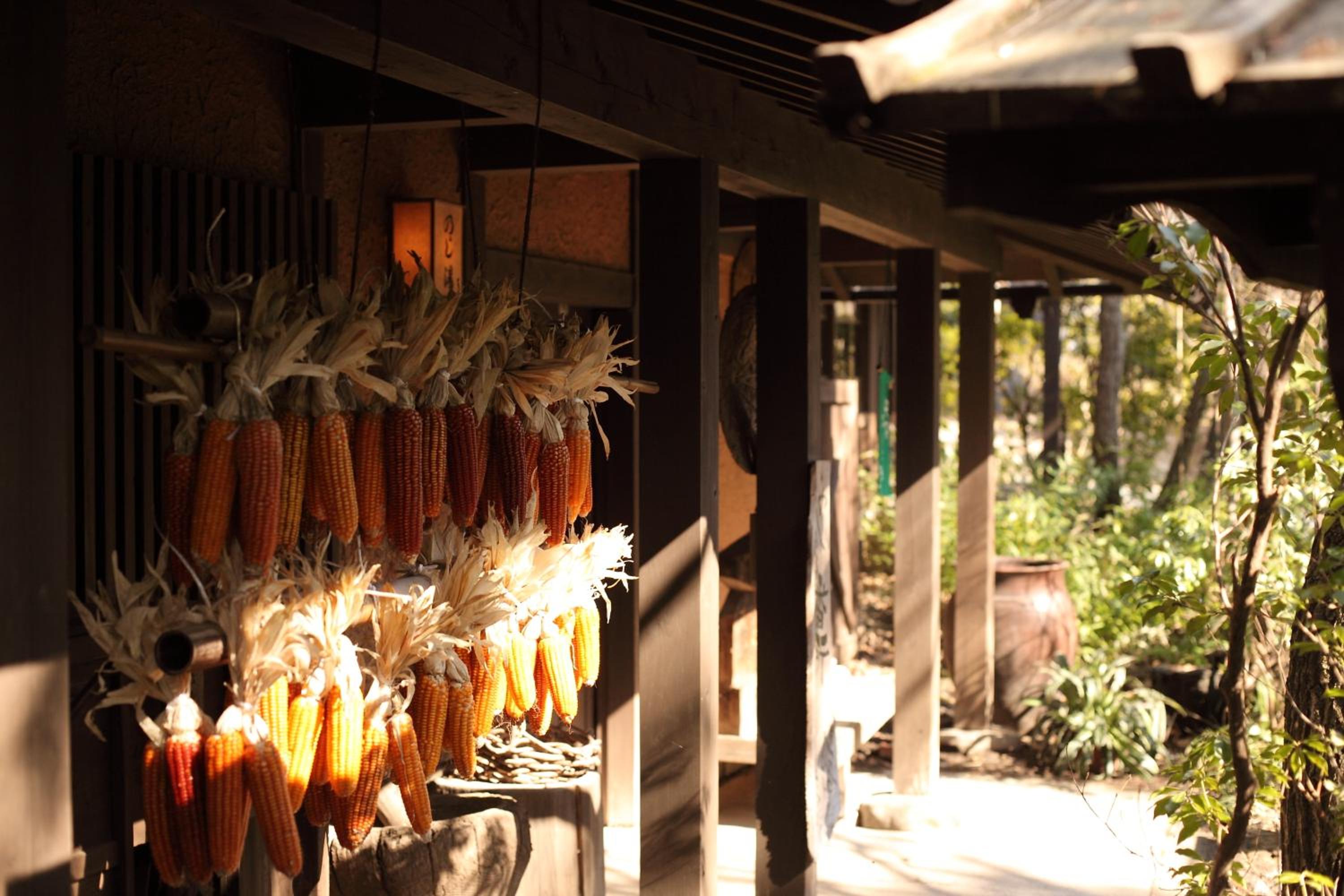 Kurokawa Onsen Oyado Noshiyu