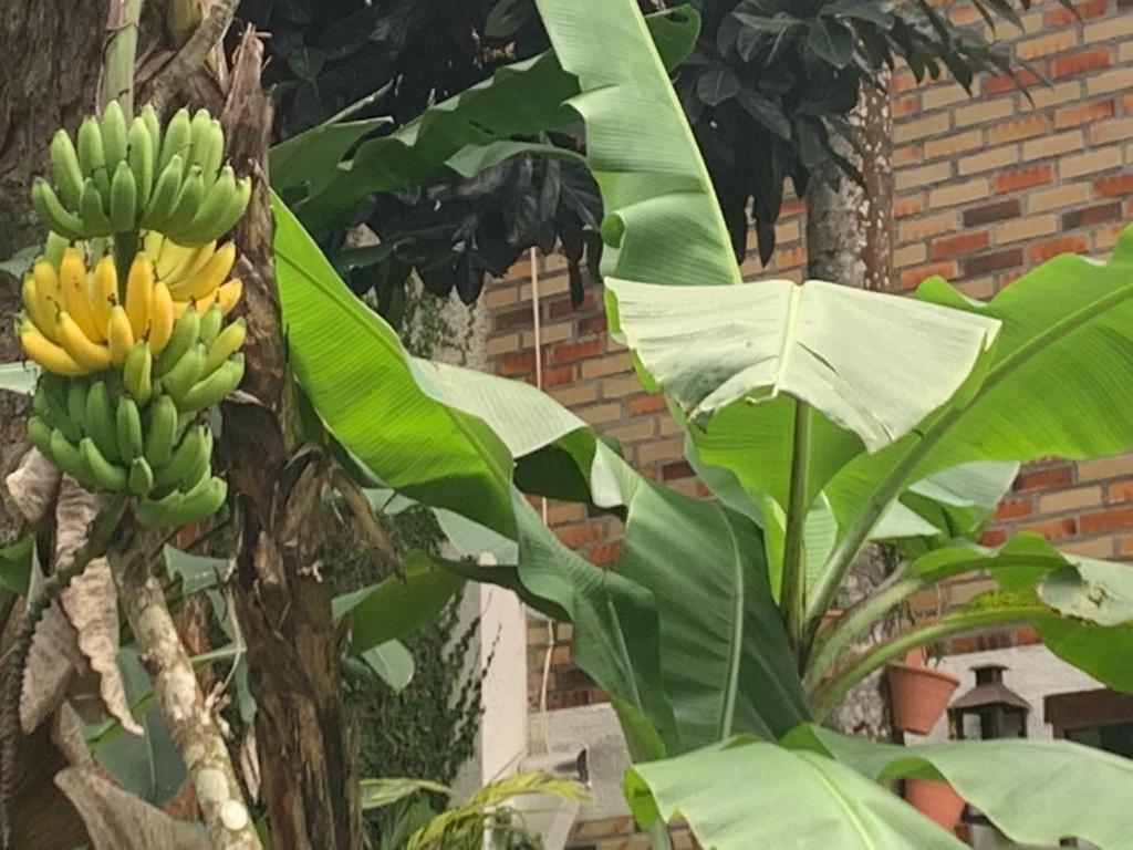 Pousada Pedras Brancas