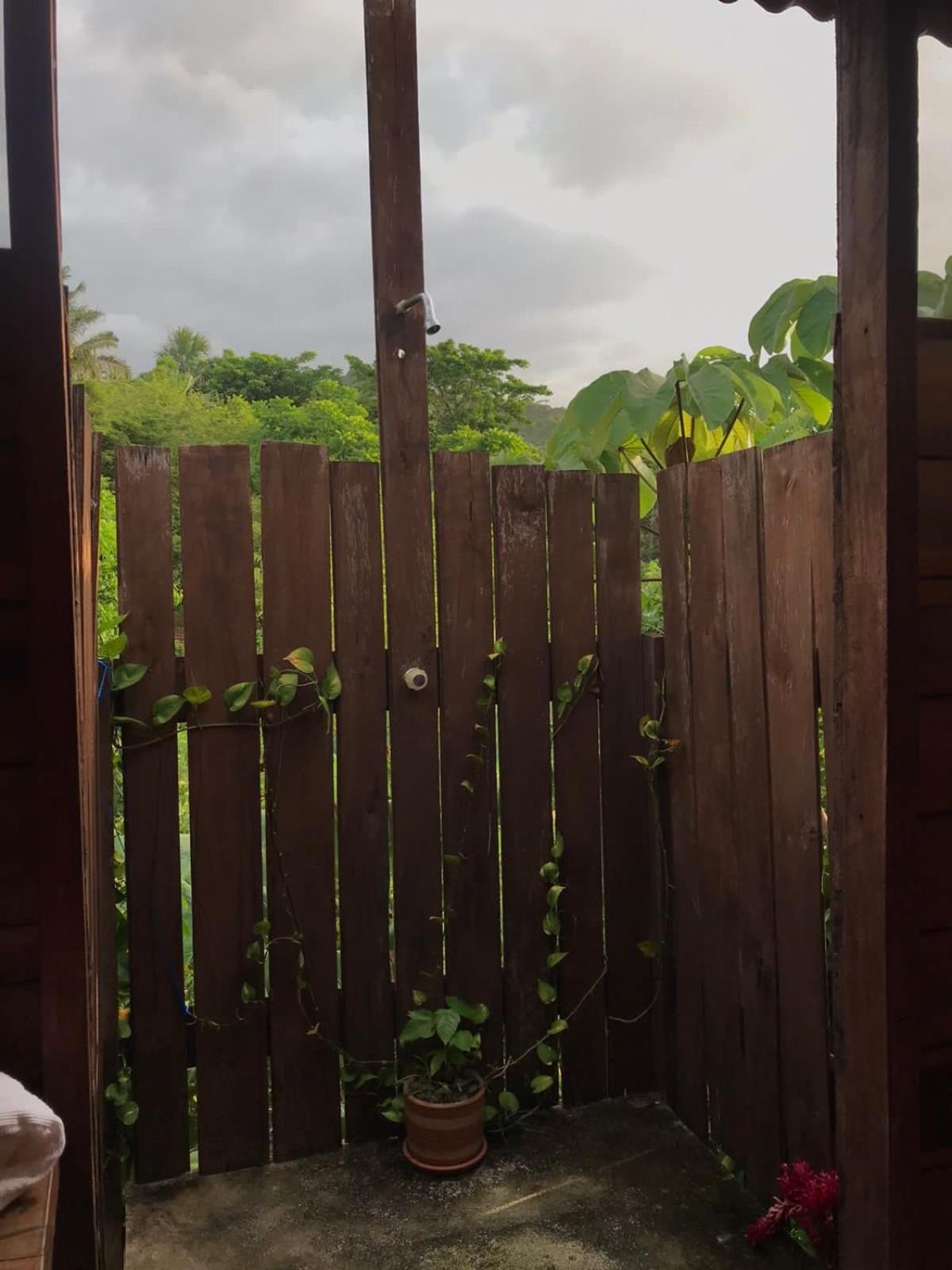 La Casita del Bosque