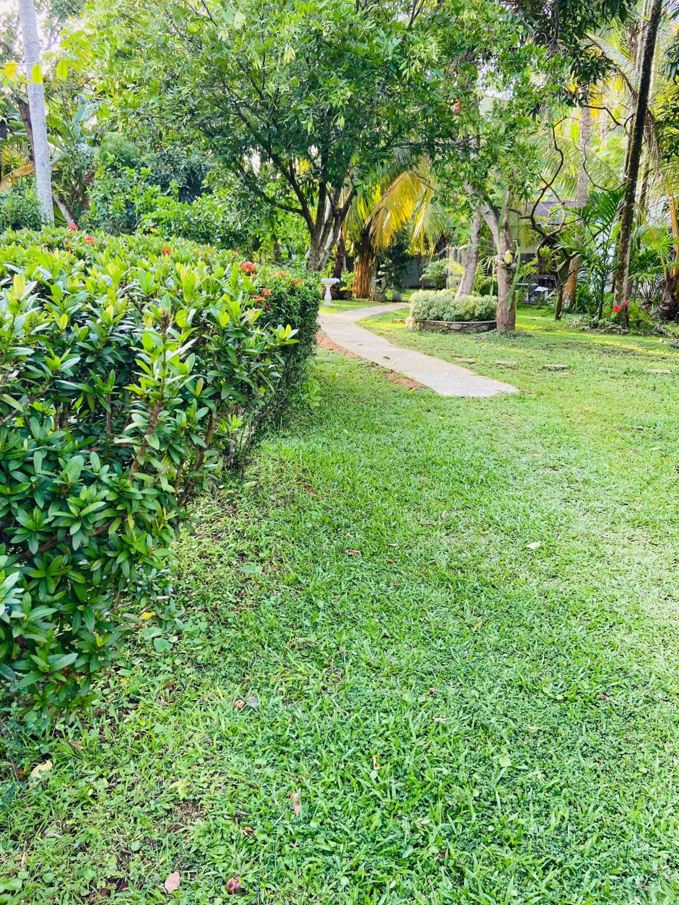 Silver Villa view 5