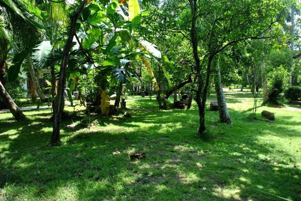 Photo 42