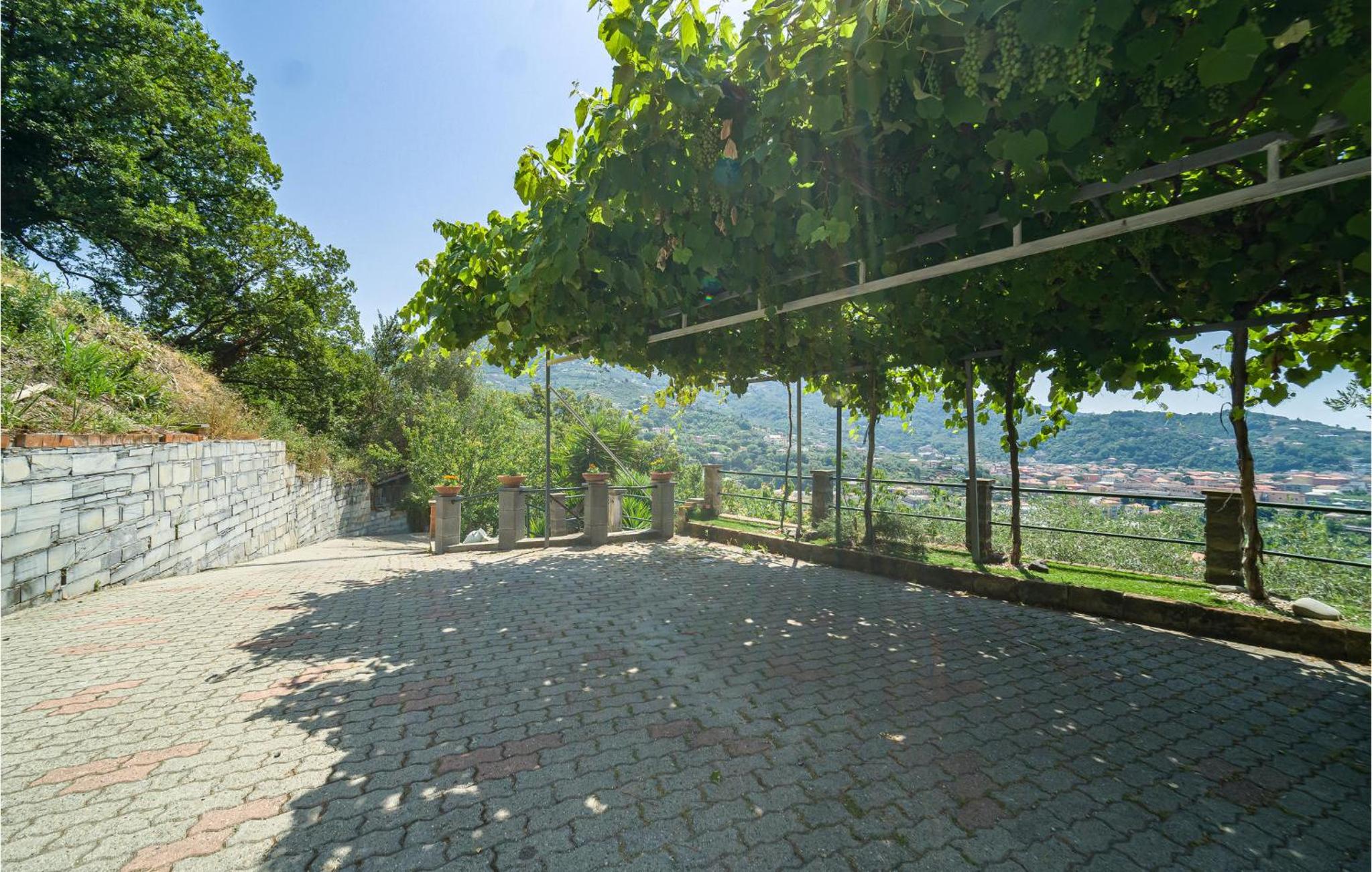 Photo 45