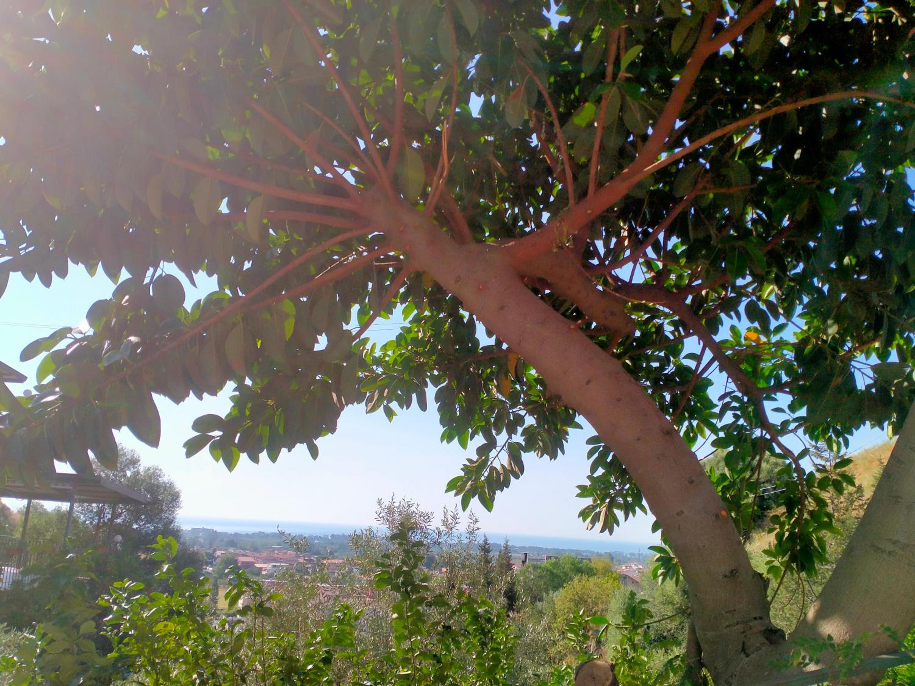 b&b Il Siriaco