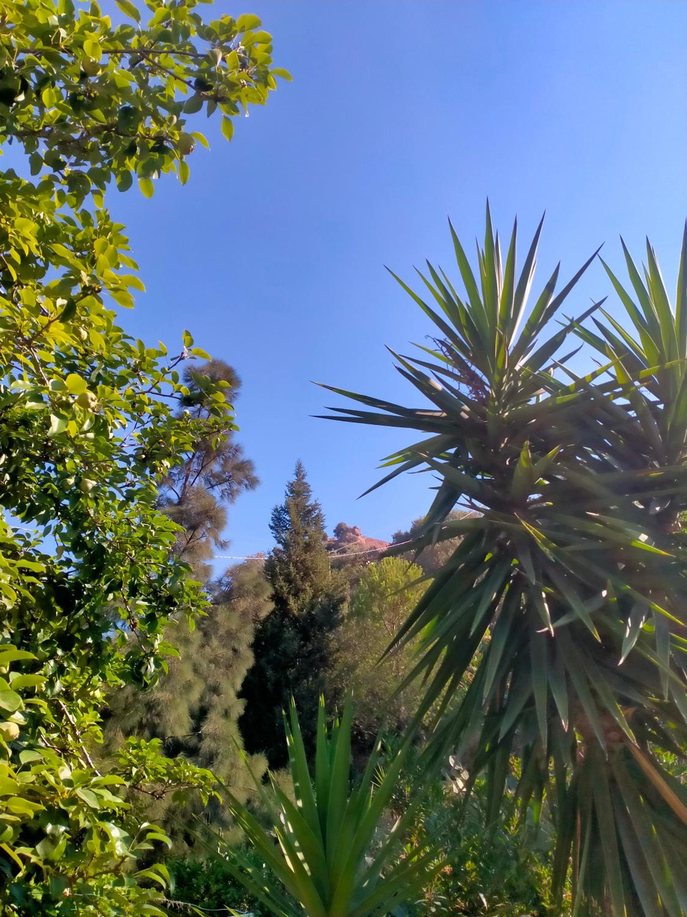 b&b Il Siriaco