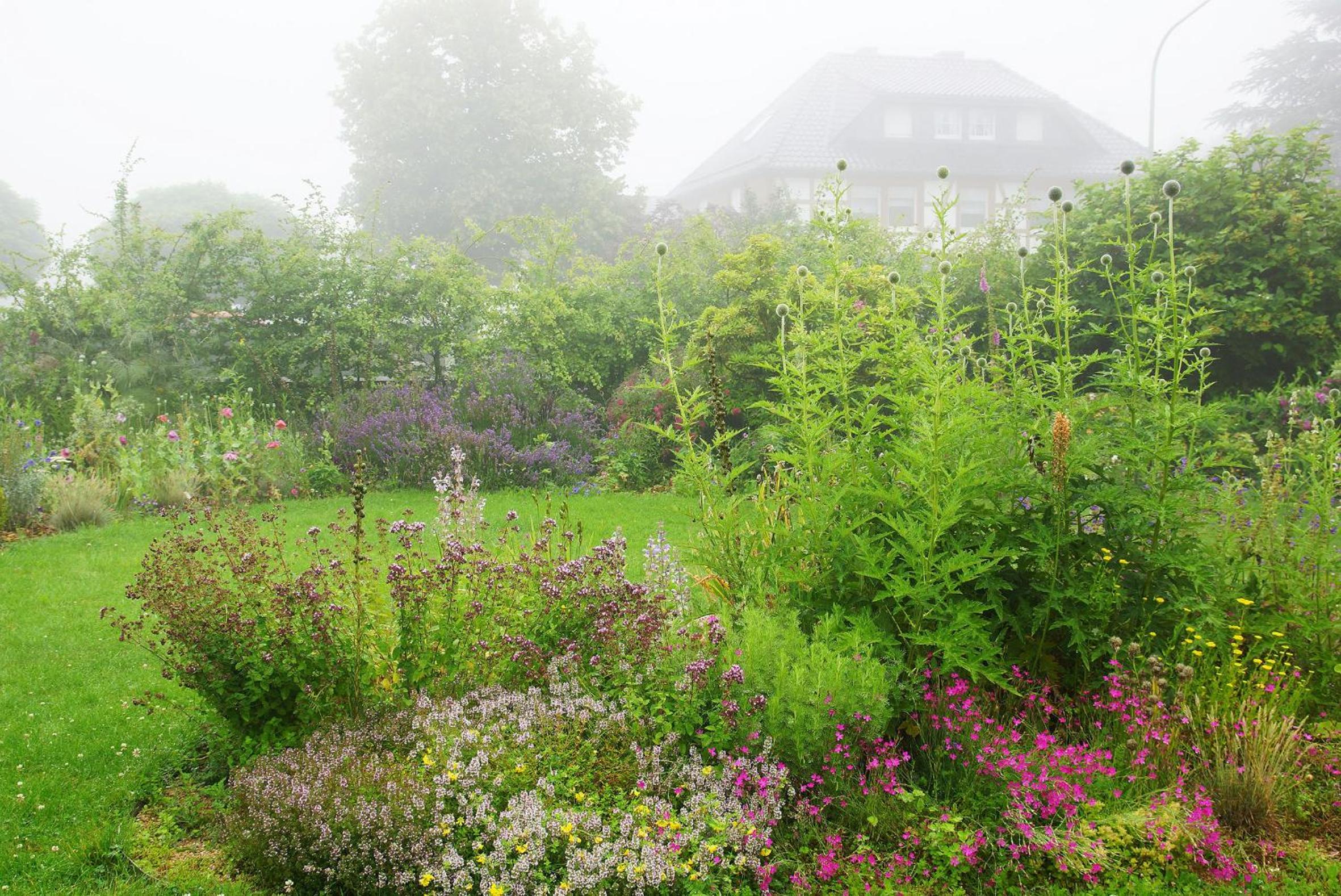 Haus mit Garten (neben National Park Eifel)