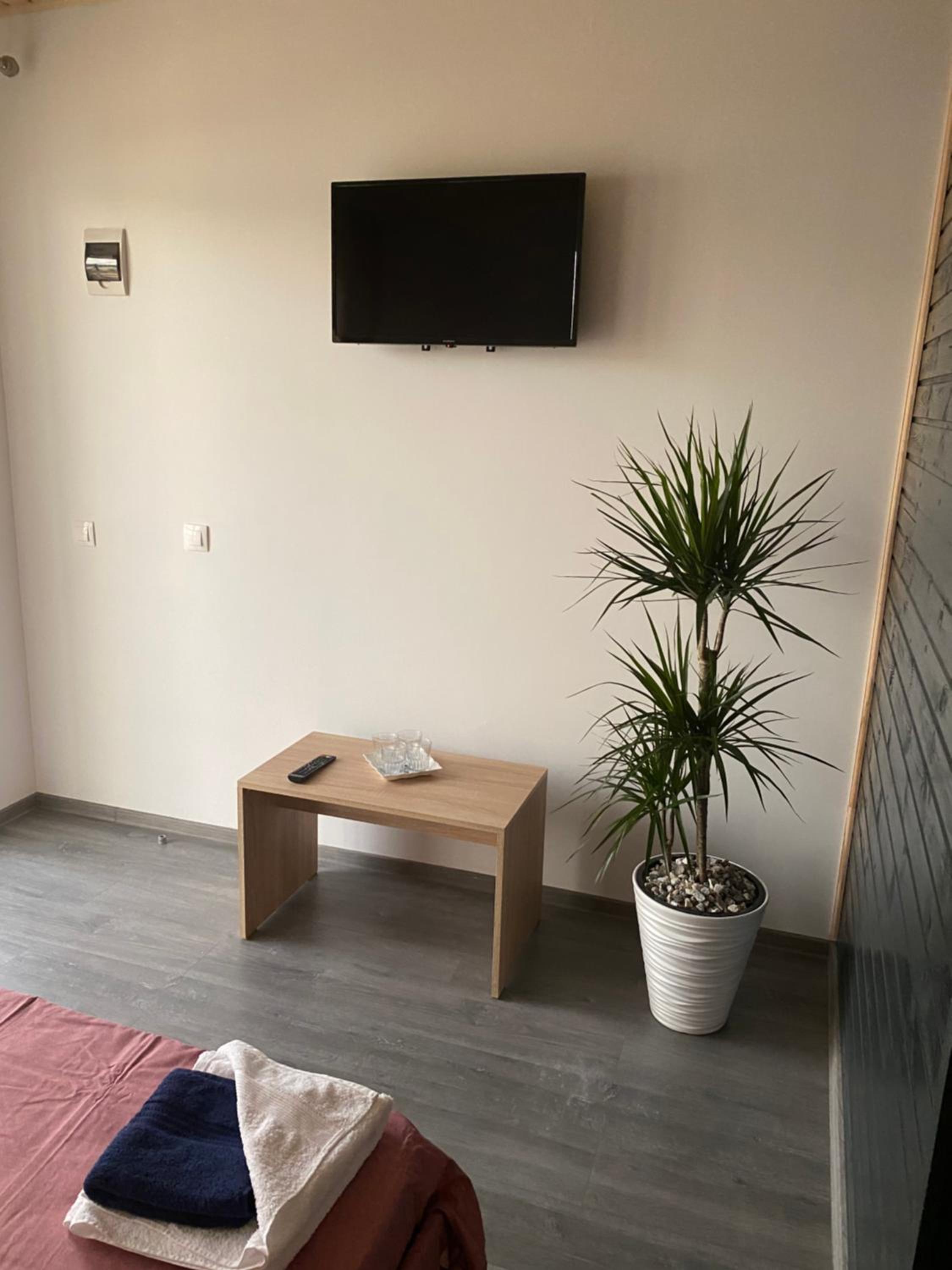 CASA DAVID
