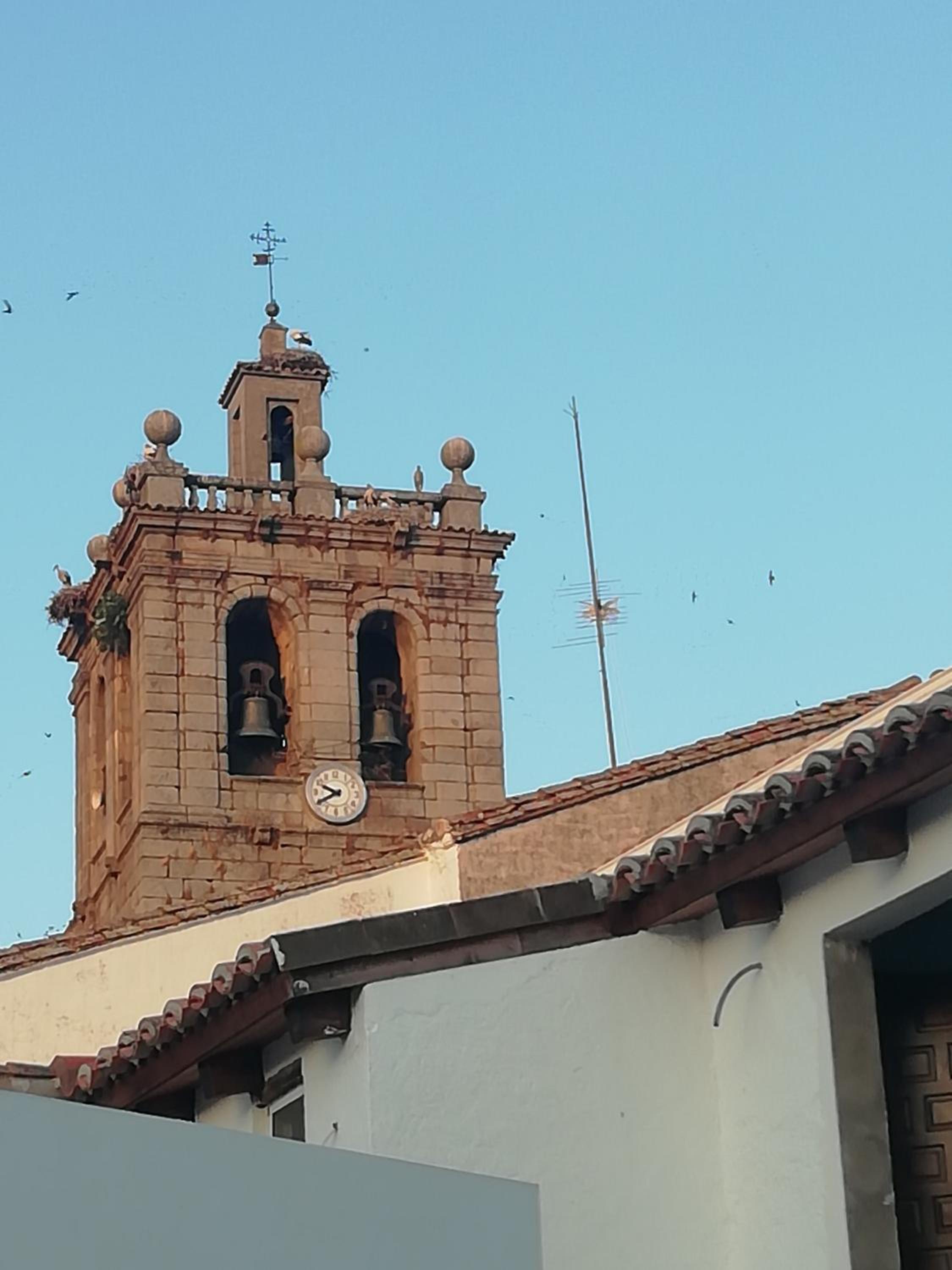Photo 22