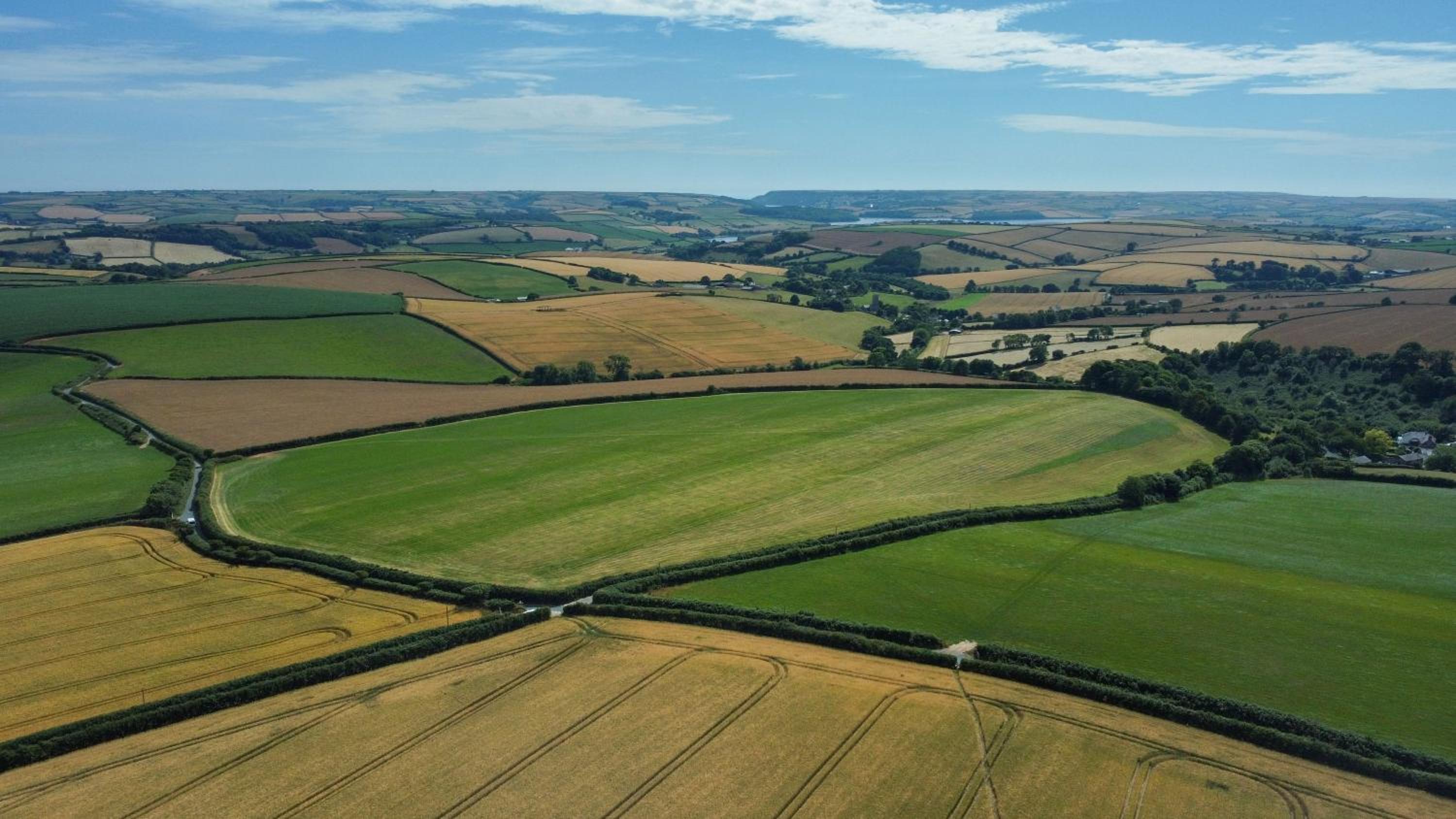 Furlong Cottage @ Higher Stancombe Farm view 5