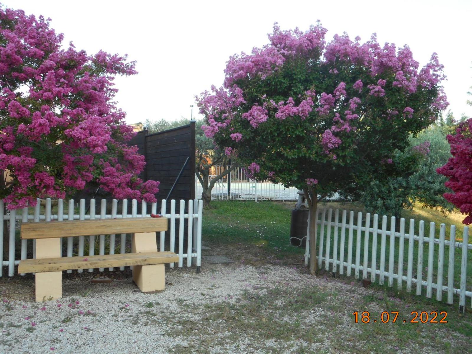 Photo 28