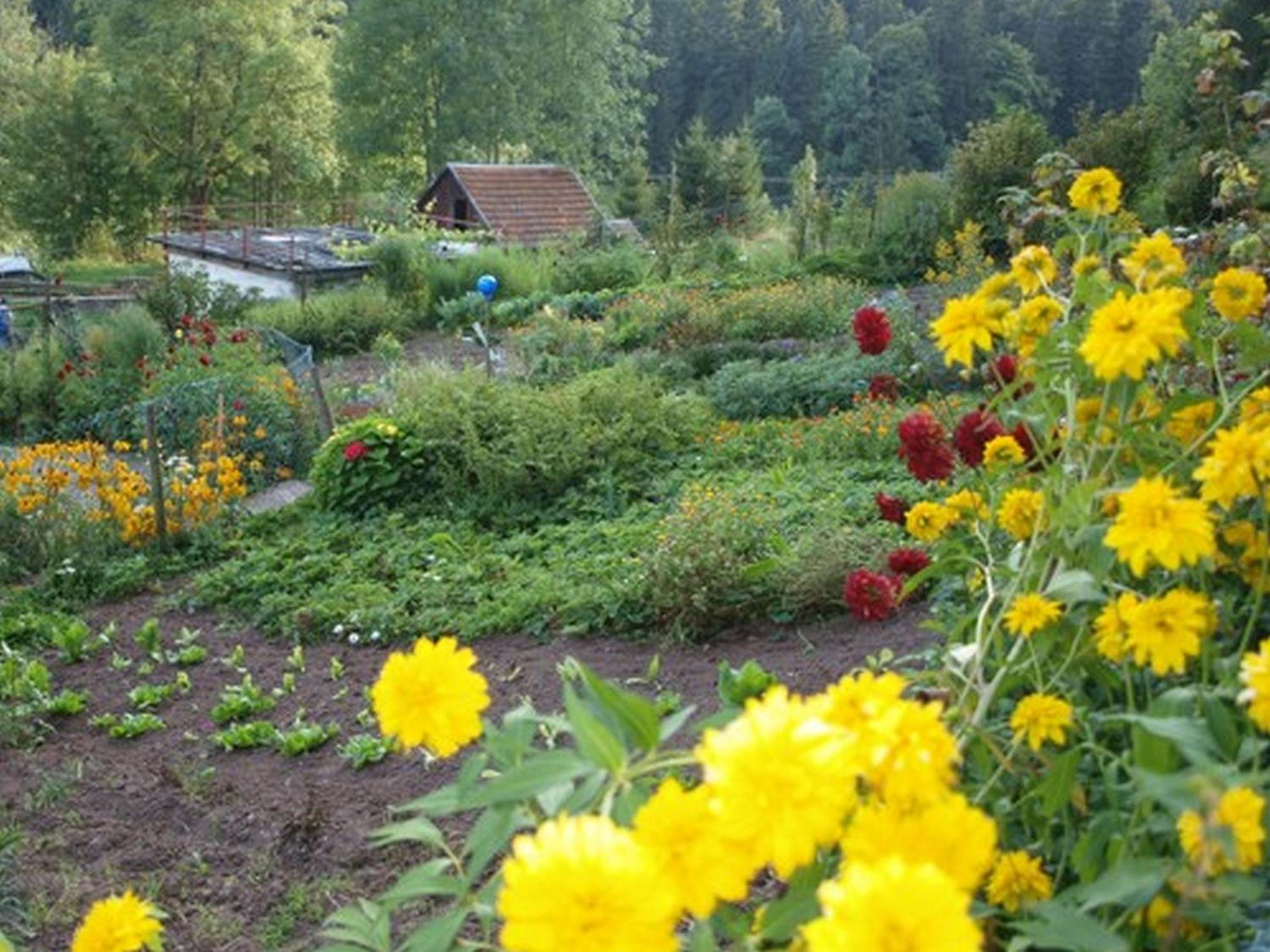 Unterfalkenhof