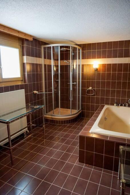Grosse 2 ZImmer Wohnung mit Terrasse view 2