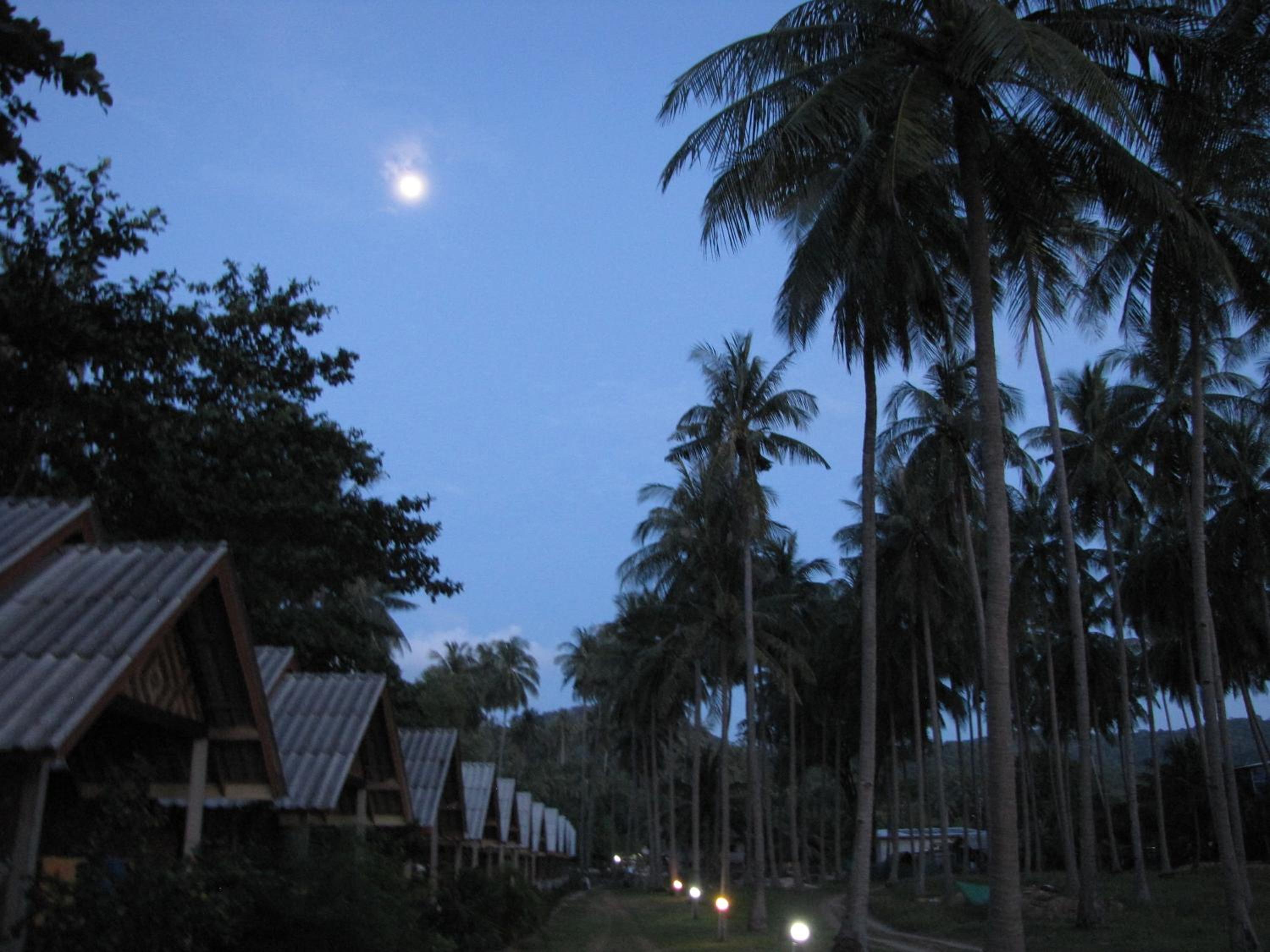 Green Chilli Bungalows view 4