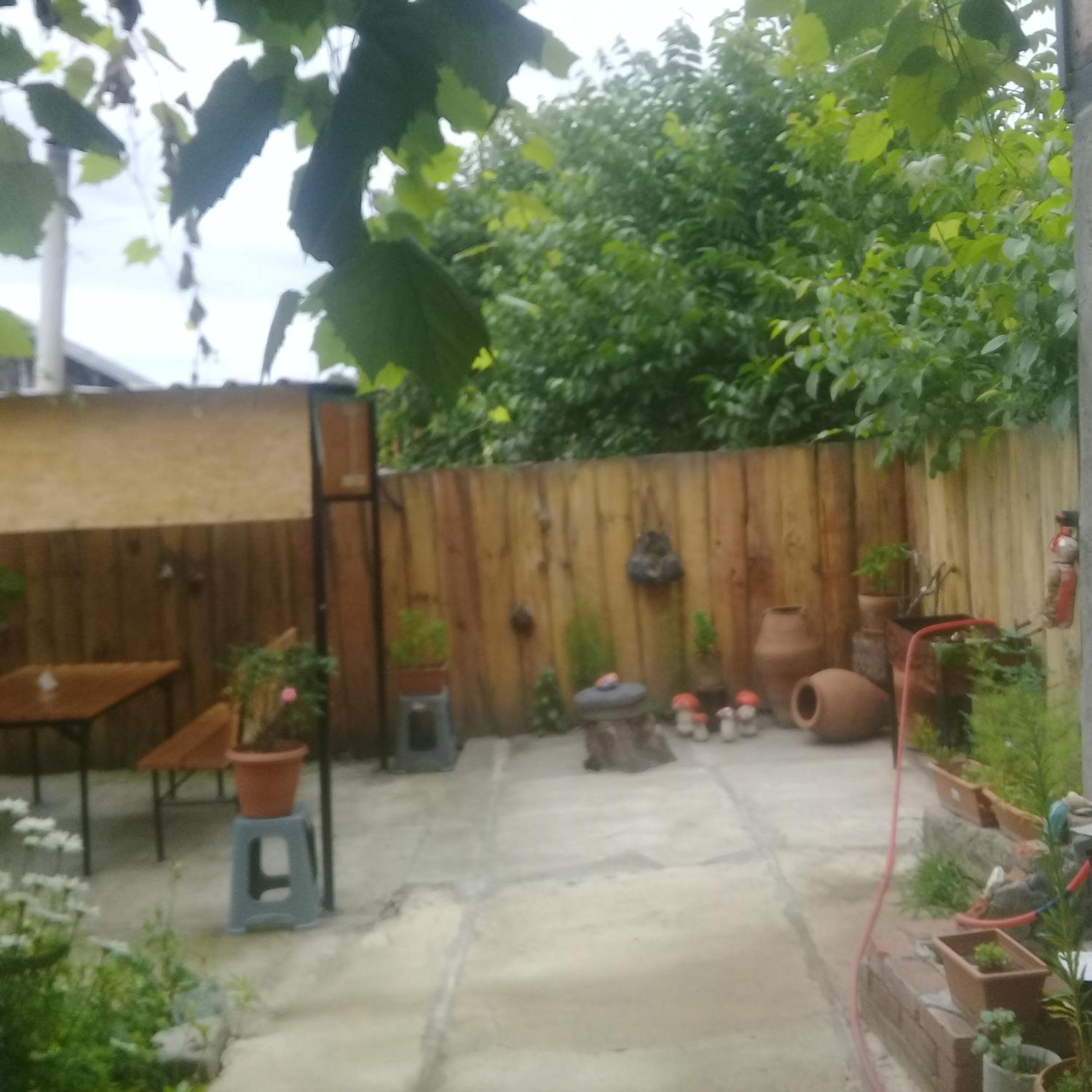 Photo 40
