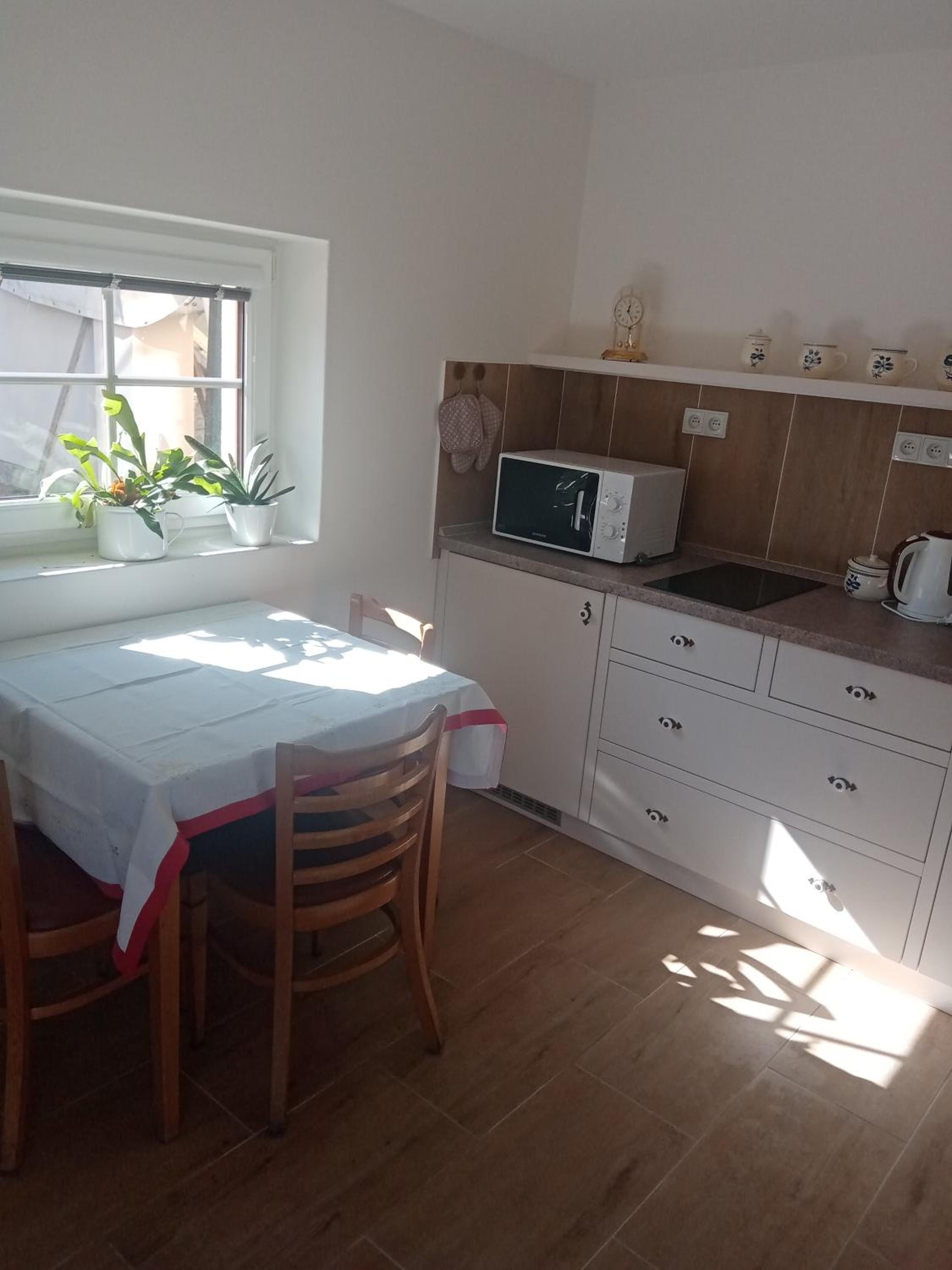 Ralsko-Hradcany - apartmán