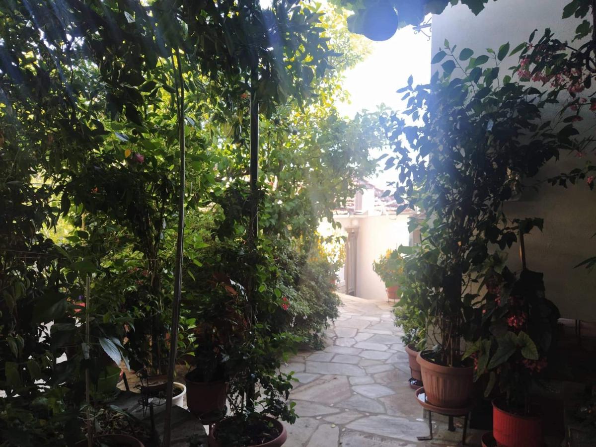Garden of Edem photo 4