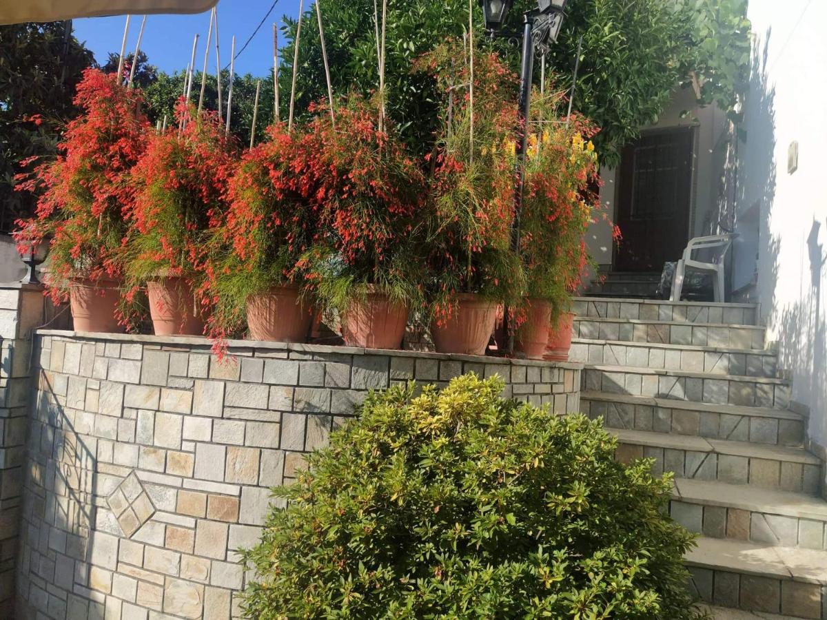 Garden of Edem photo 2