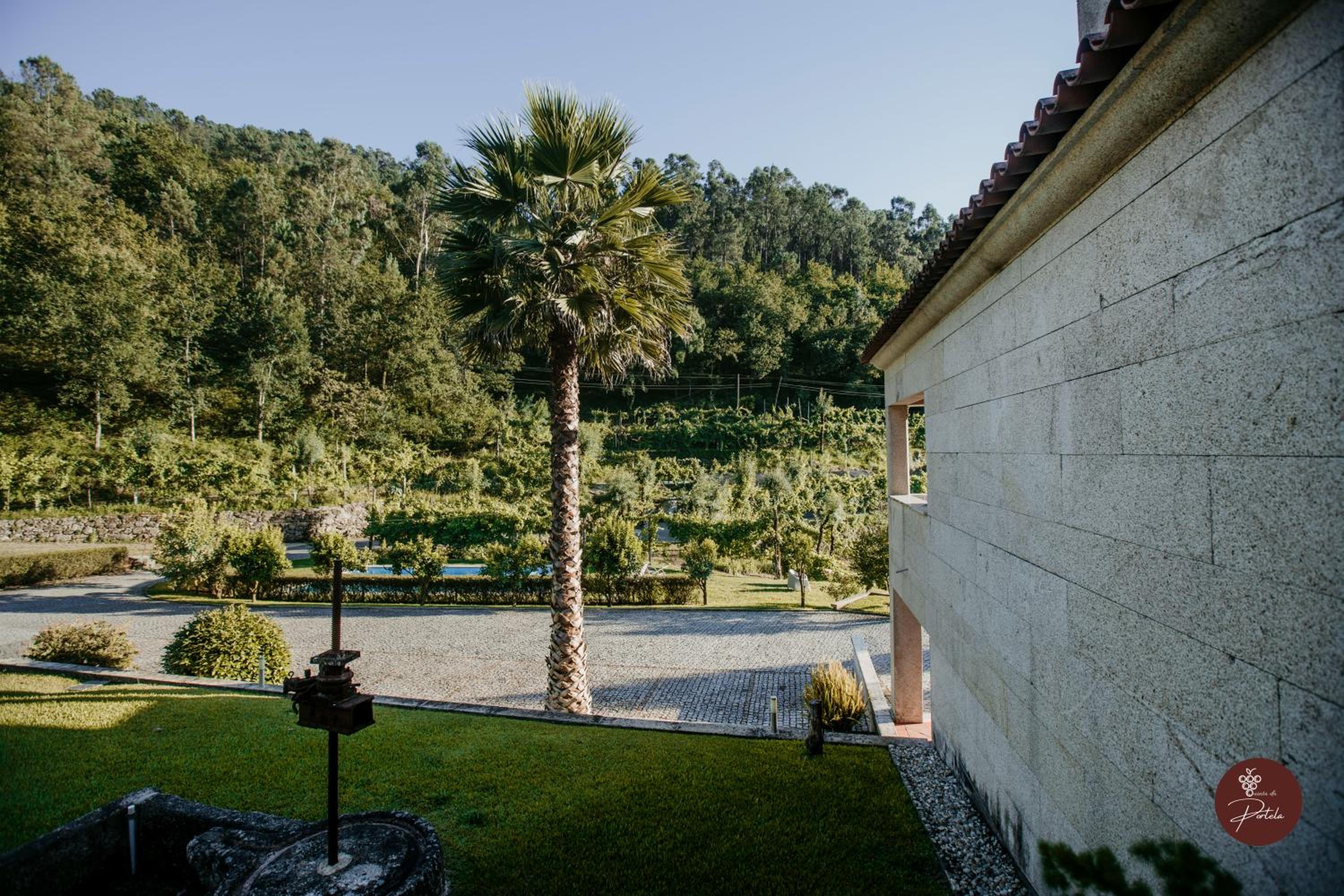 Casa da Quinta - Quinta da Portela view 5